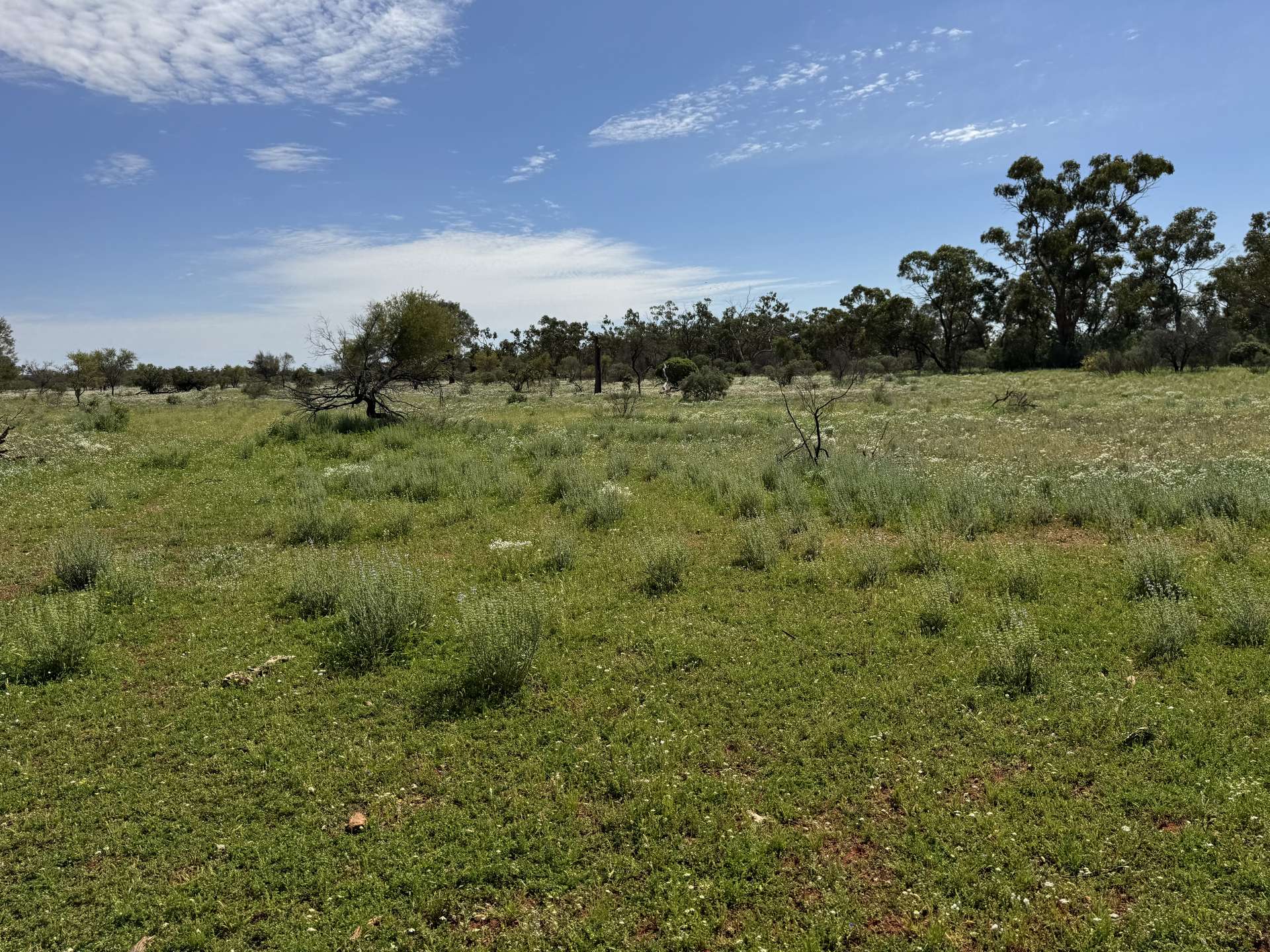 1940 Lakemere Road, Bourke For Sale by Farmbuy.com - image 20