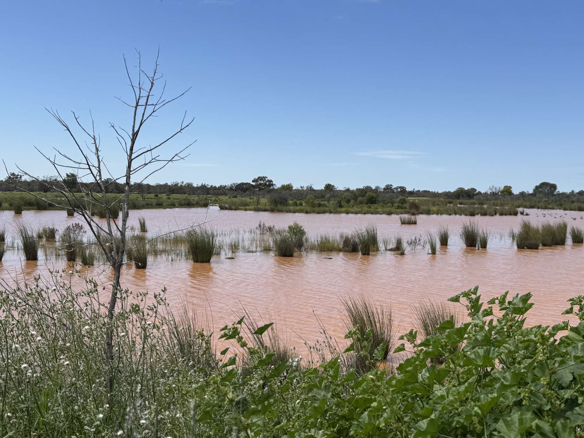1940 Lakemere Road, Bourke For Sale by Farmbuy.com - image 21