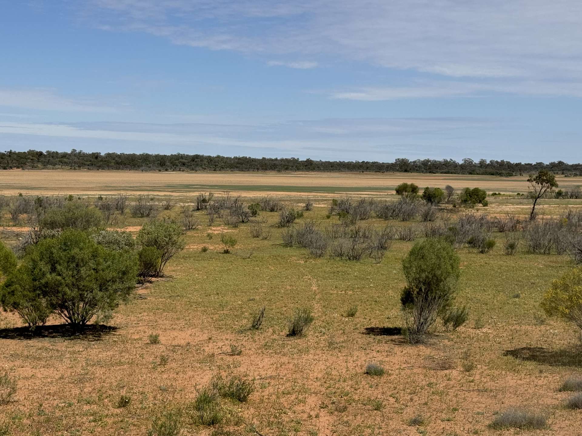 1940 Lakemere Road, Bourke For Sale by Farmbuy.com - image 17