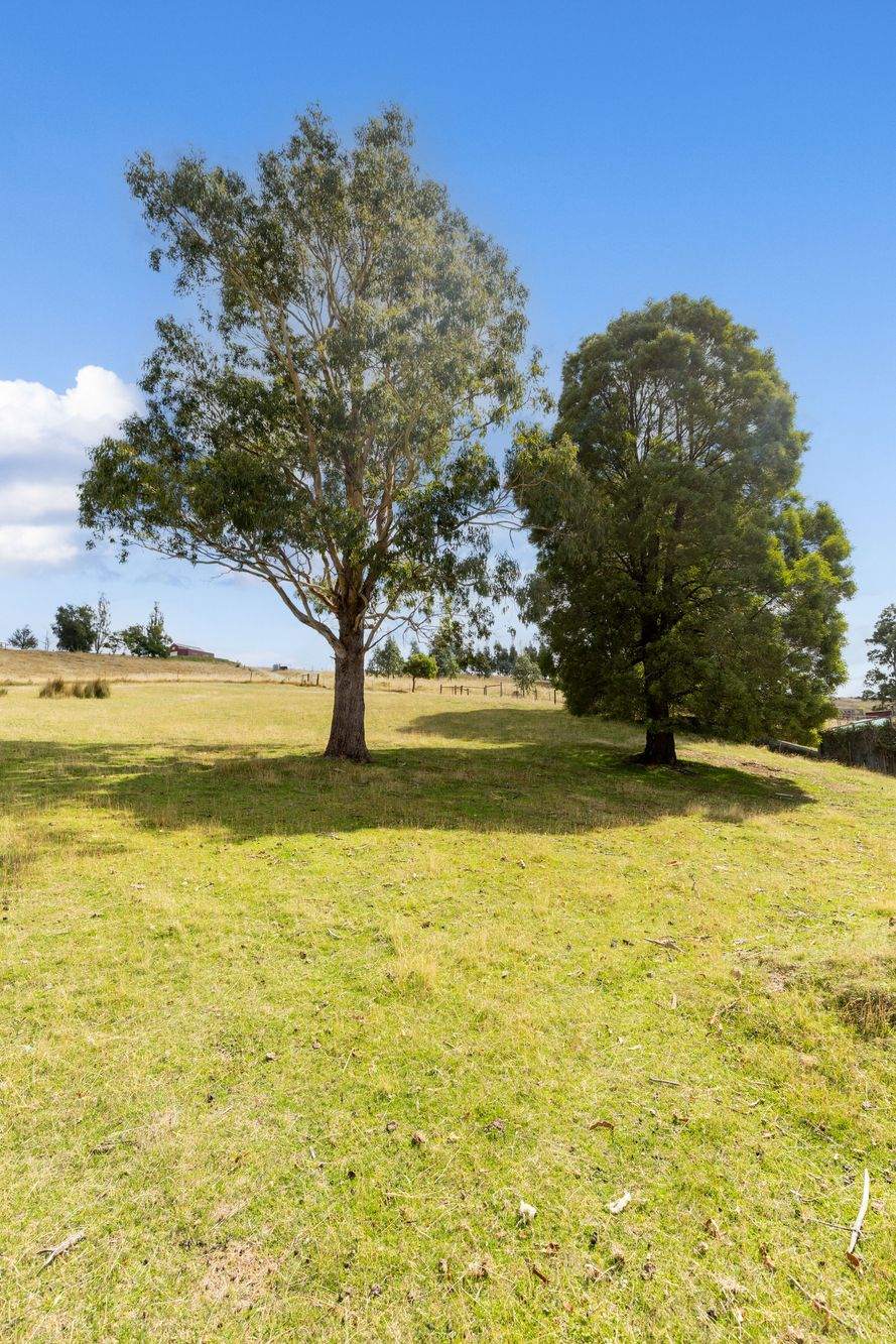 370 Staverton Road, Promised Land For Sale by Farmbuy.com - image 35