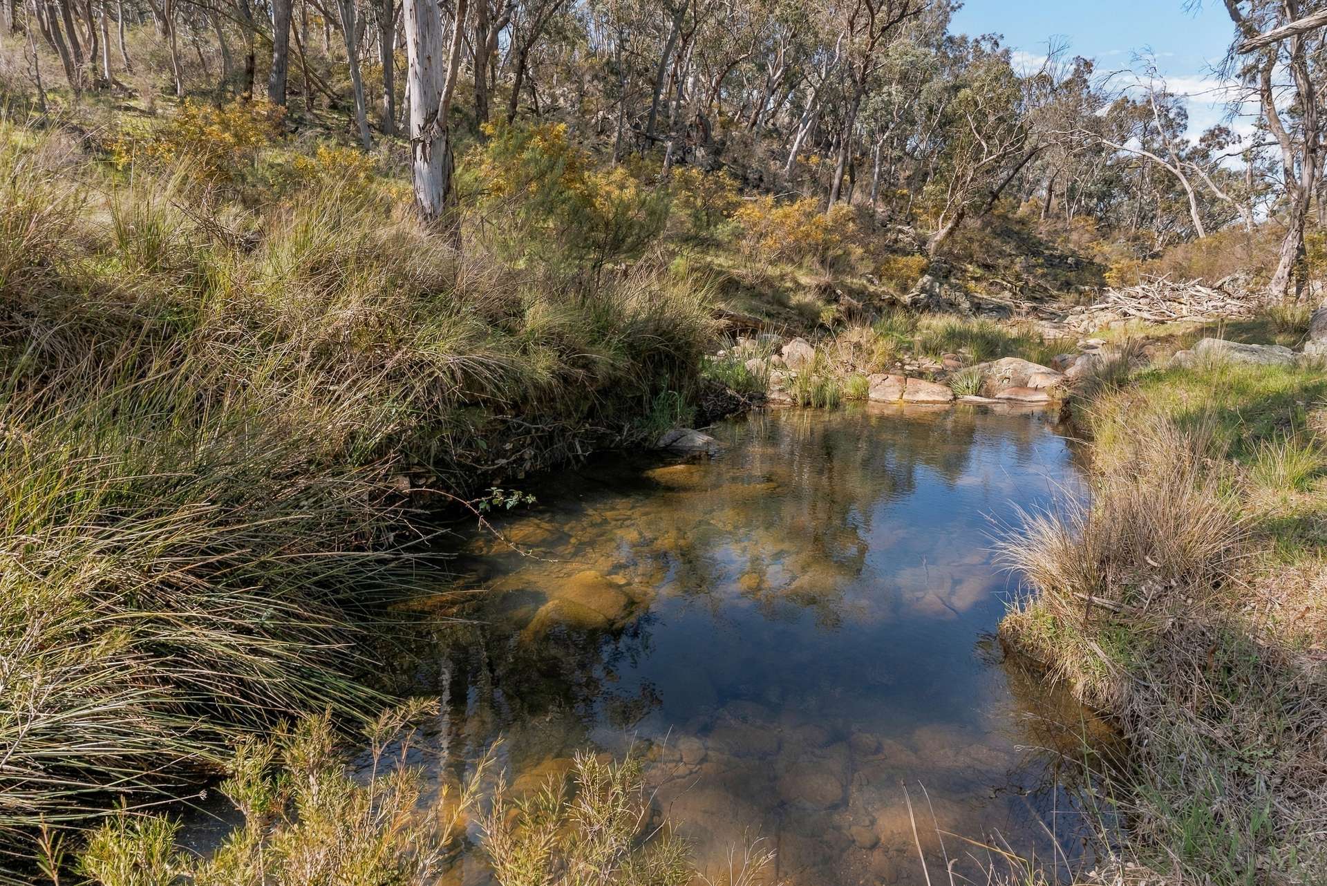 1718 Ophir Road, Orange Auction by Farmbuy.com - image 26