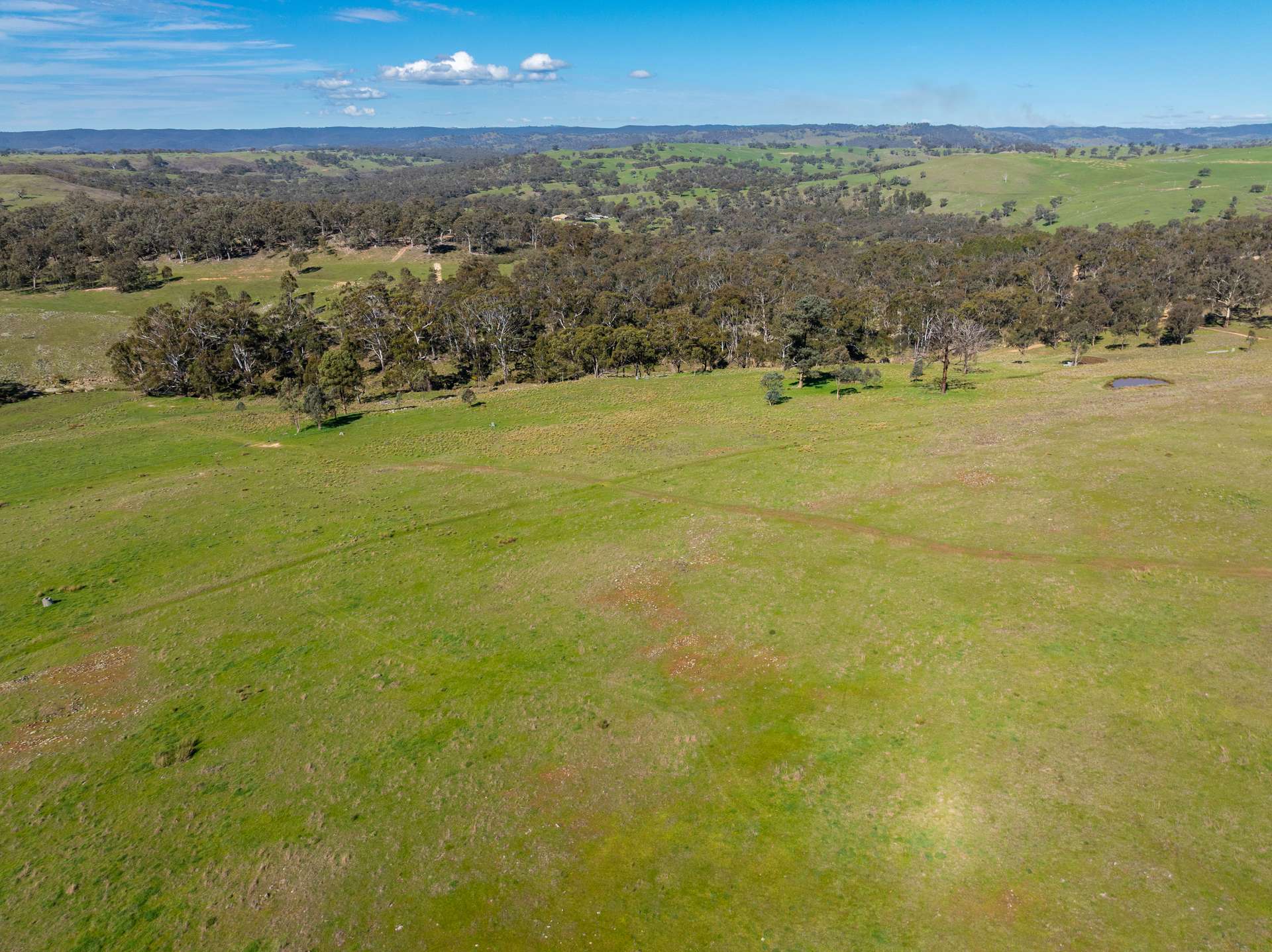 1718 Ophir Road, Orange Auction by Farmbuy.com - image 21