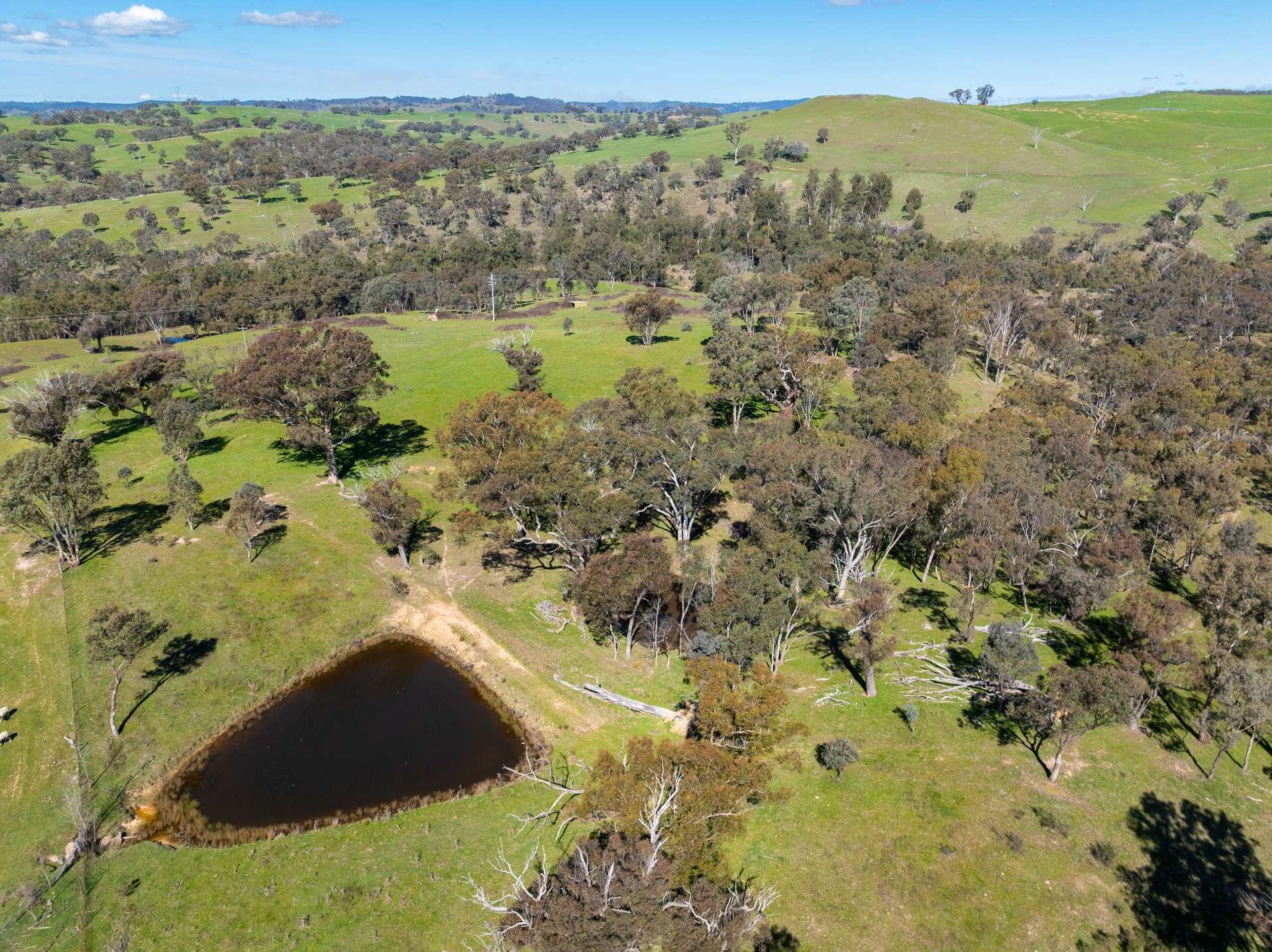 1718 Ophir Road, Orange Auction by Farmbuy.com - image 22