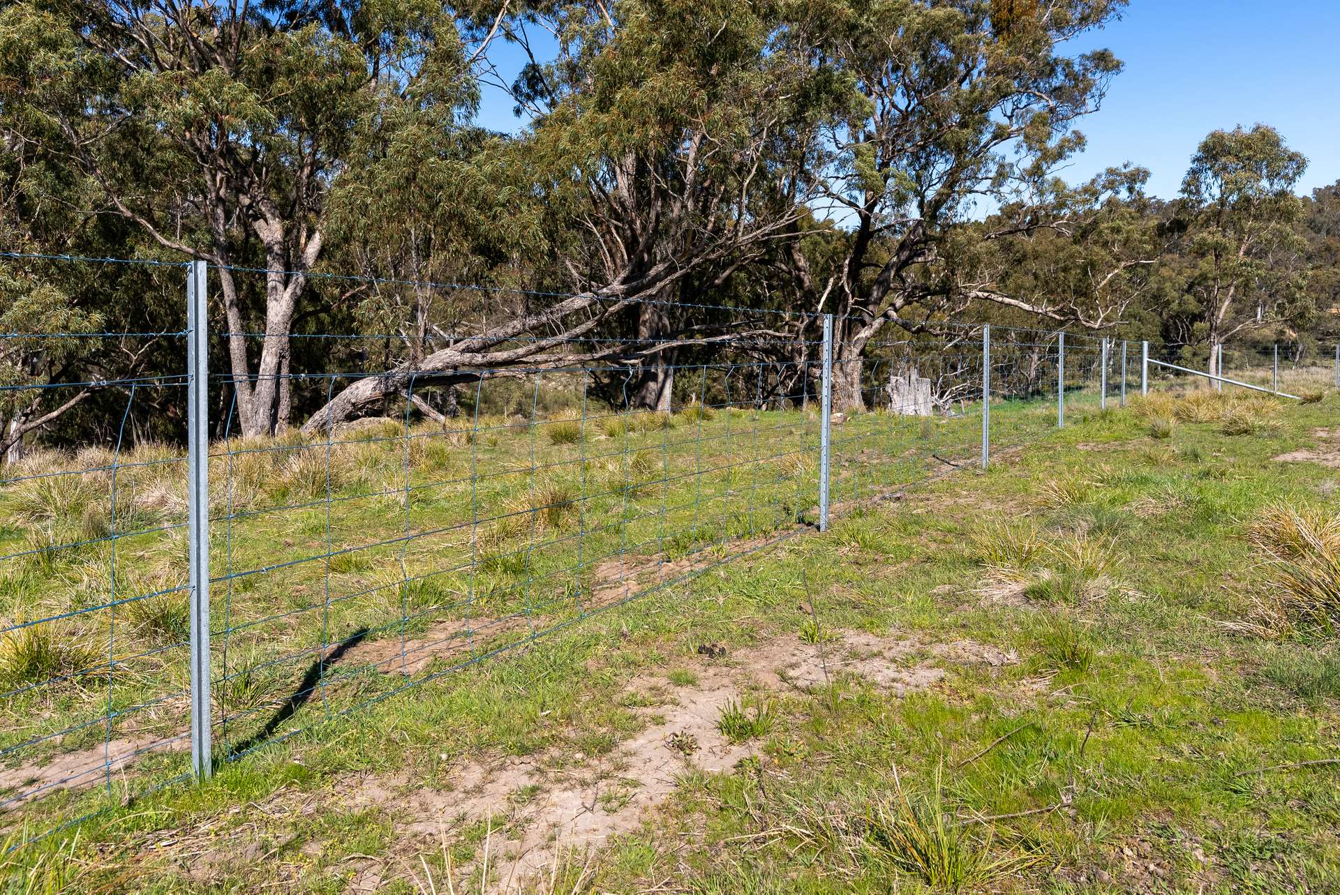 1718 Ophir Road, Orange Auction by Farmbuy.com - image 19
