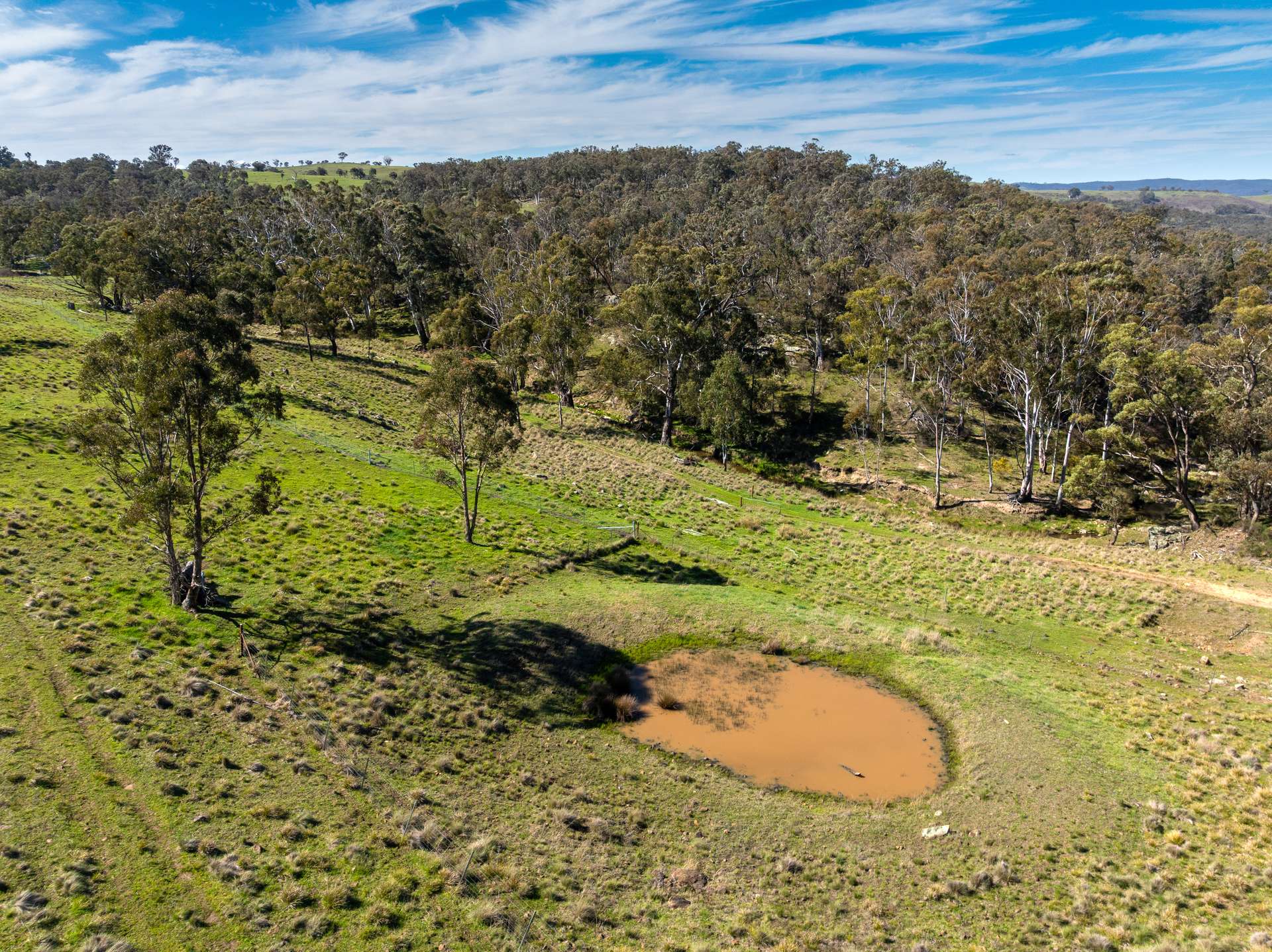 1718 Ophir Road, Orange Auction by Farmbuy.com - image 23