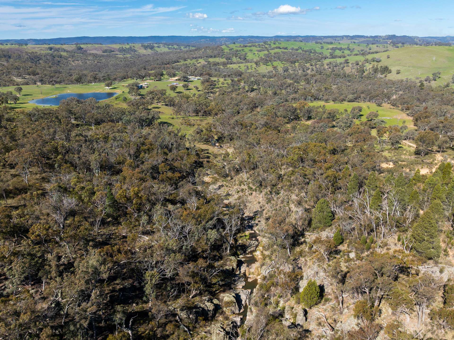 1718 Ophir Road, Orange Auction by Farmbuy.com - image 25
