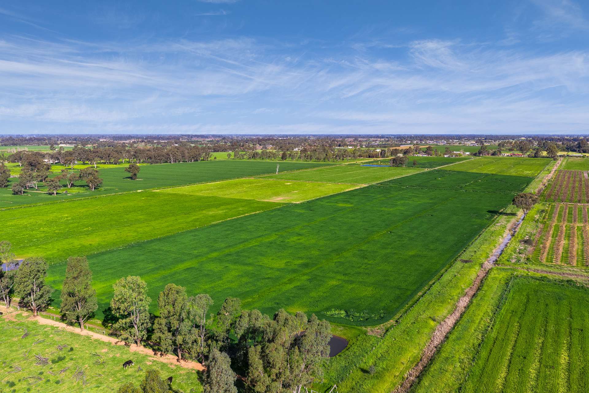 636 Graham Road, Kyabram For Sale by Farmbuy.com - image 8