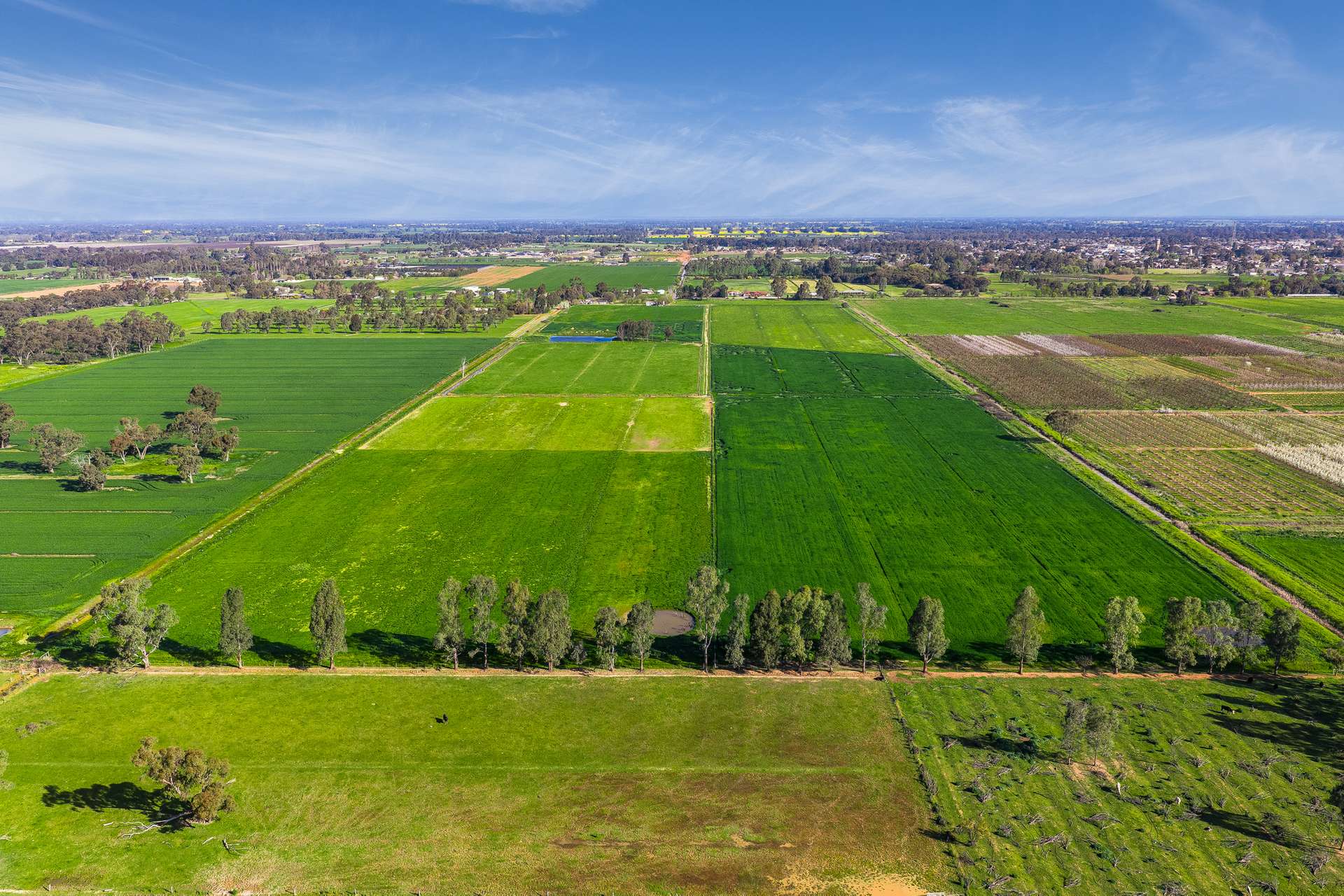 636 Graham Road, Kyabram For Sale by Farmbuy.com - image 11