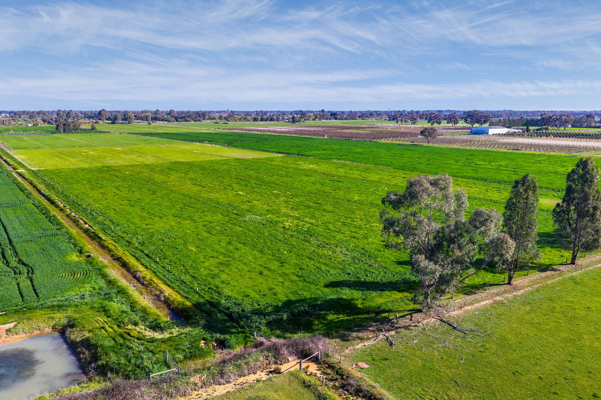 636 Graham Road, Kyabram For Sale by Farmbuy.com - image 10
