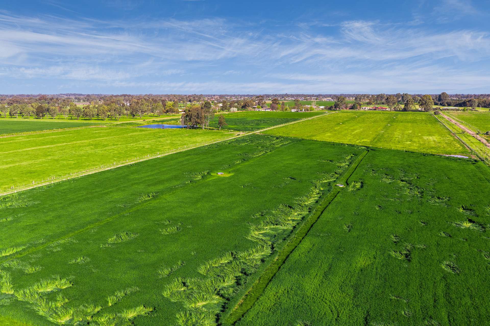 636 Graham Road, Kyabram For Sale by Farmbuy.com - image 12
