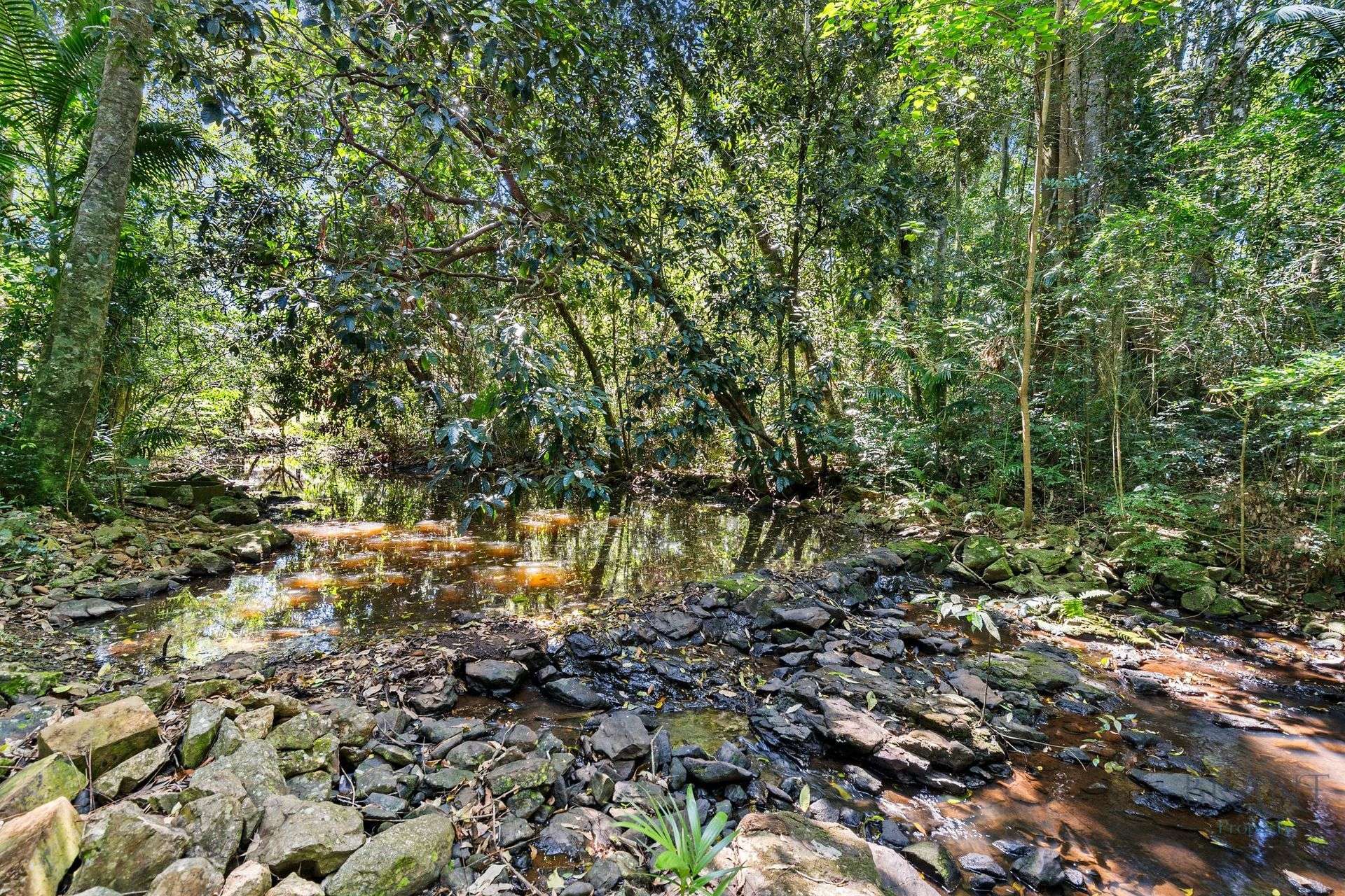 1085 Landsborough Maleny Road, Maleny For Sale by Farmbuy.com - image 28