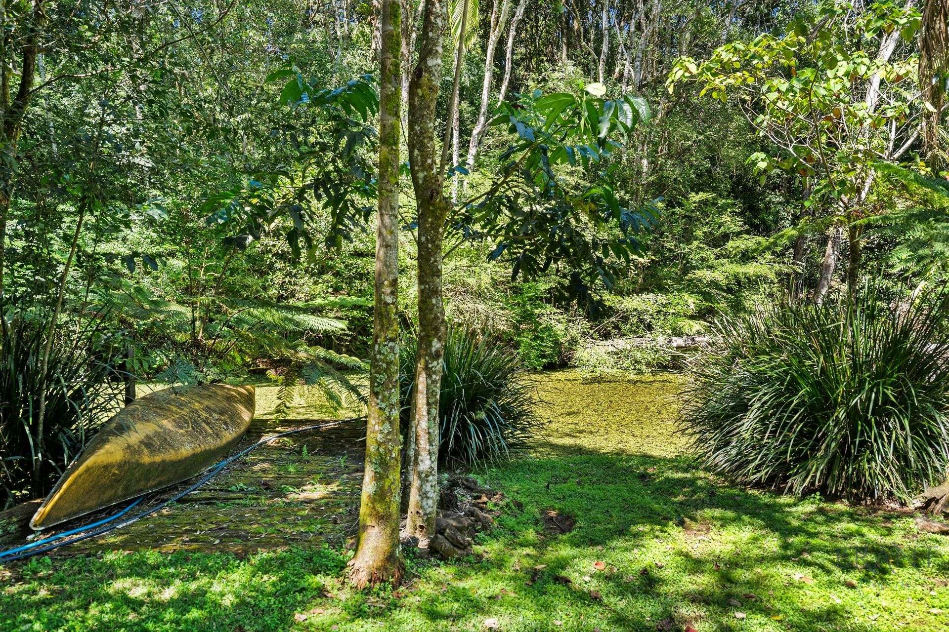 1085 Landsborough Maleny Road, Maleny For Sale by Farmbuy.com - image 24