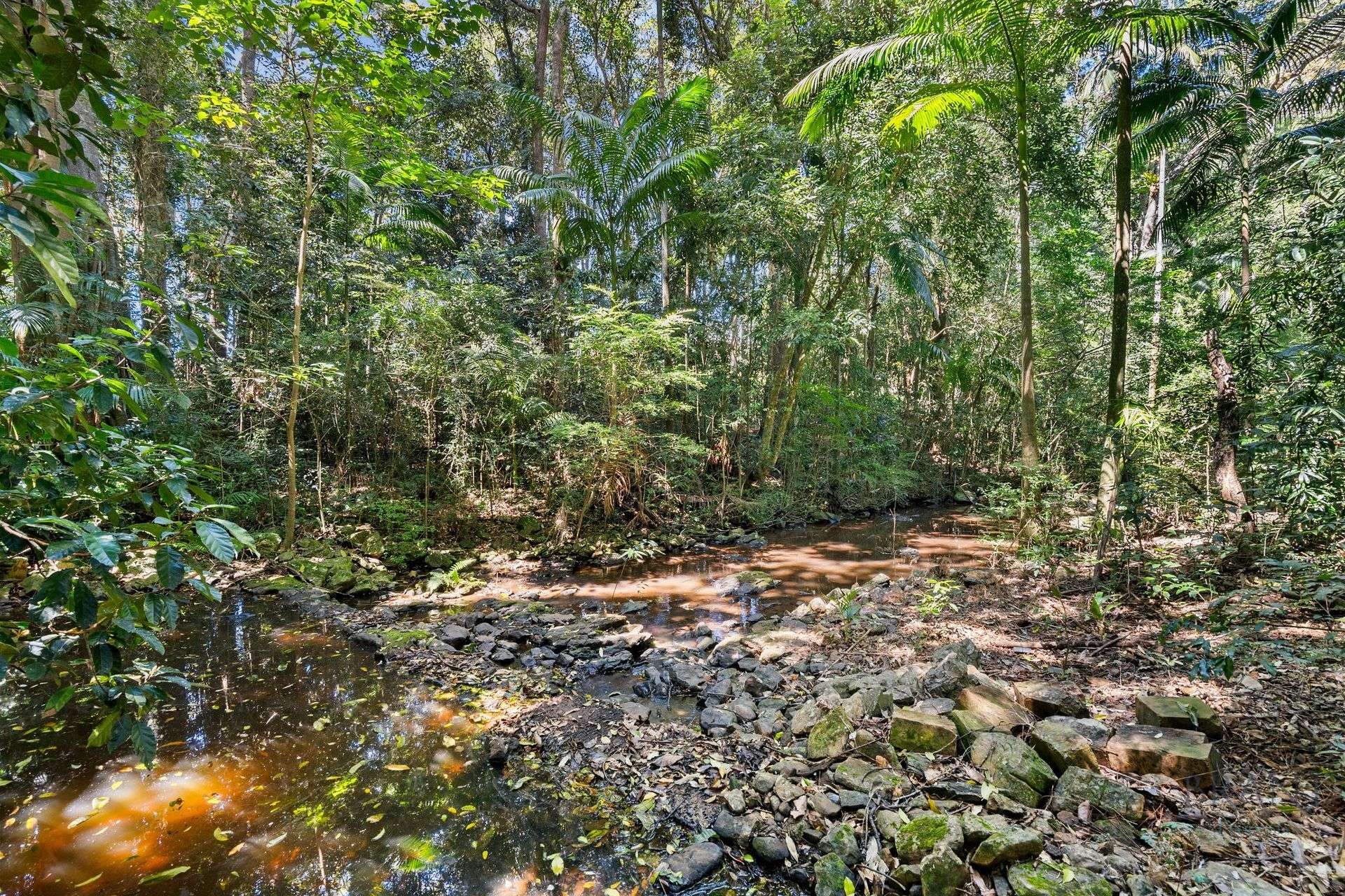 1085 Landsborough Maleny Road, Maleny For Sale by Farmbuy.com - image 29