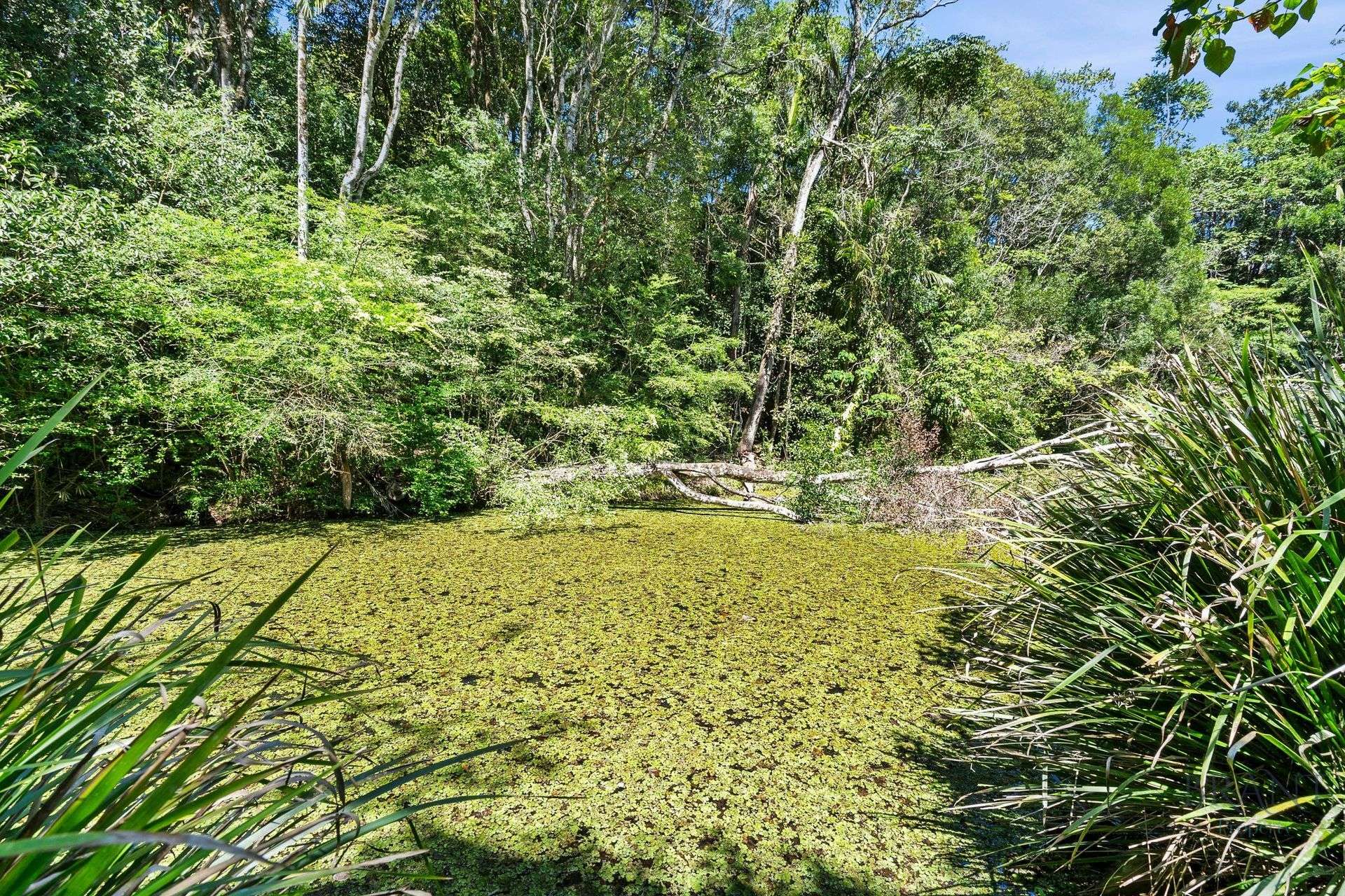1085 Landsborough Maleny Road, Maleny For Sale by Farmbuy.com - image 23