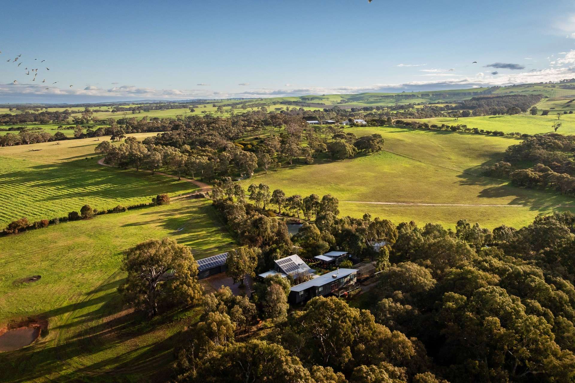 Braeside Road, Finniss For Sale by Farmbuy.com - image 2