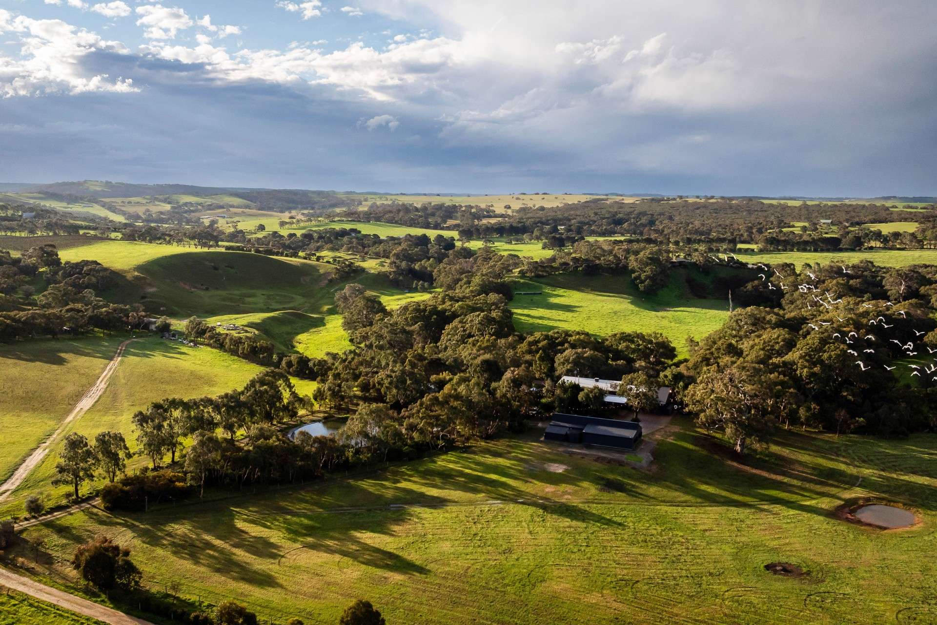 Braeside Road, Finniss For Sale by Farmbuy.com - image 1
