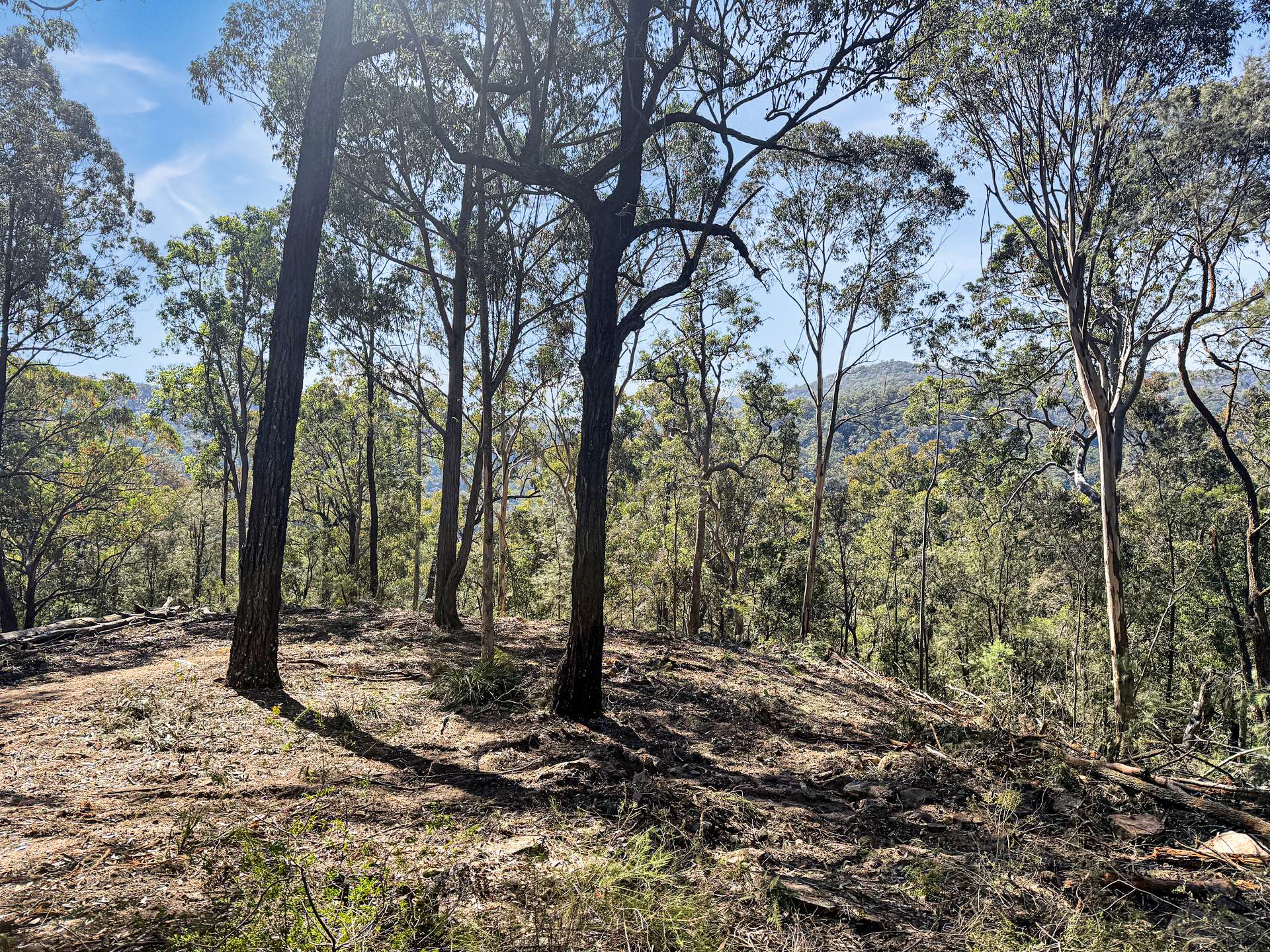 Parcel O Hitcham Park Dairy Arm Road, Laguna For Sale by Farmbuy.com - image 18