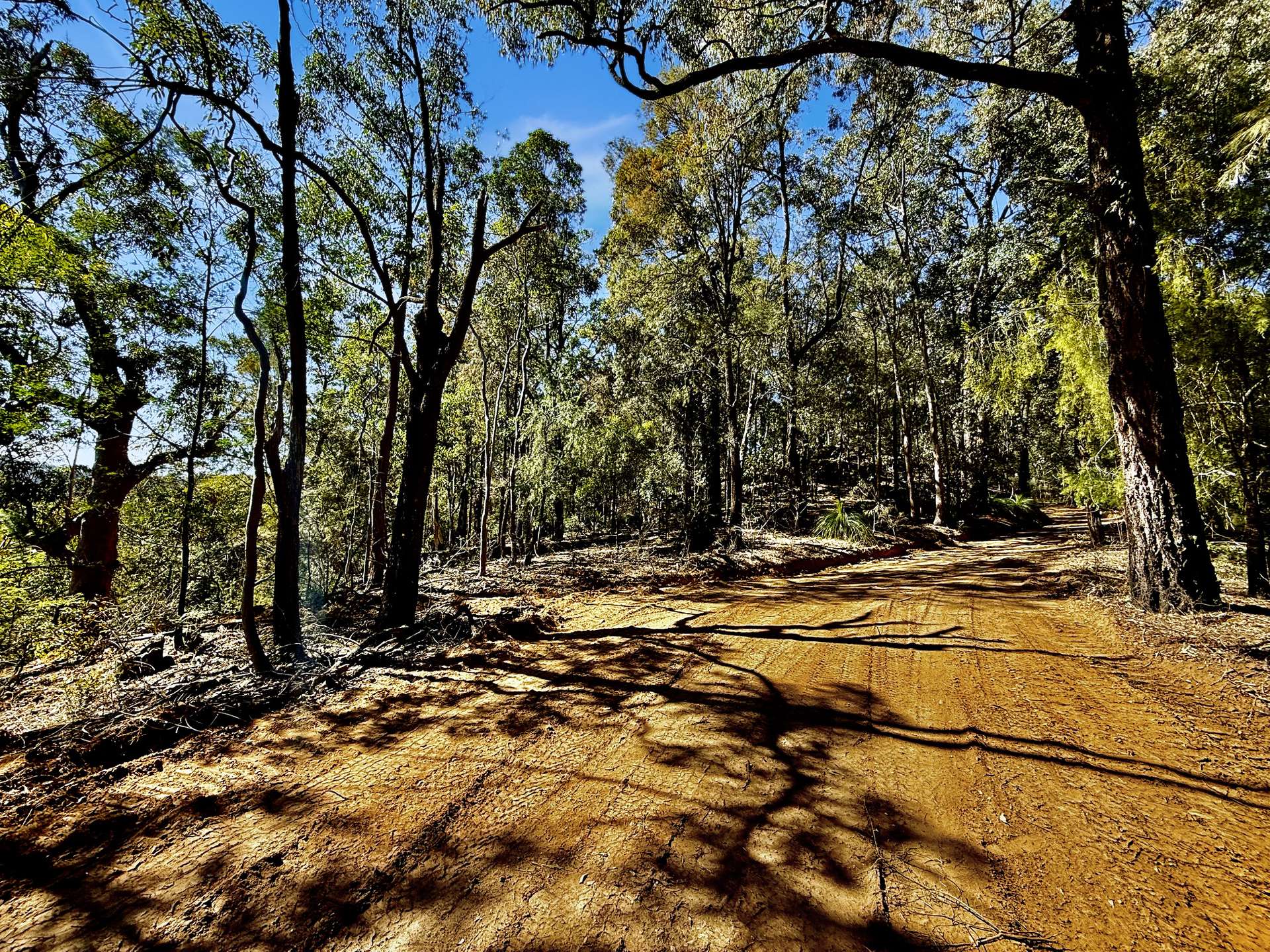 Parcel O Hitcham Park Dairy Arm Road, Laguna For Sale by Farmbuy.com - image 15