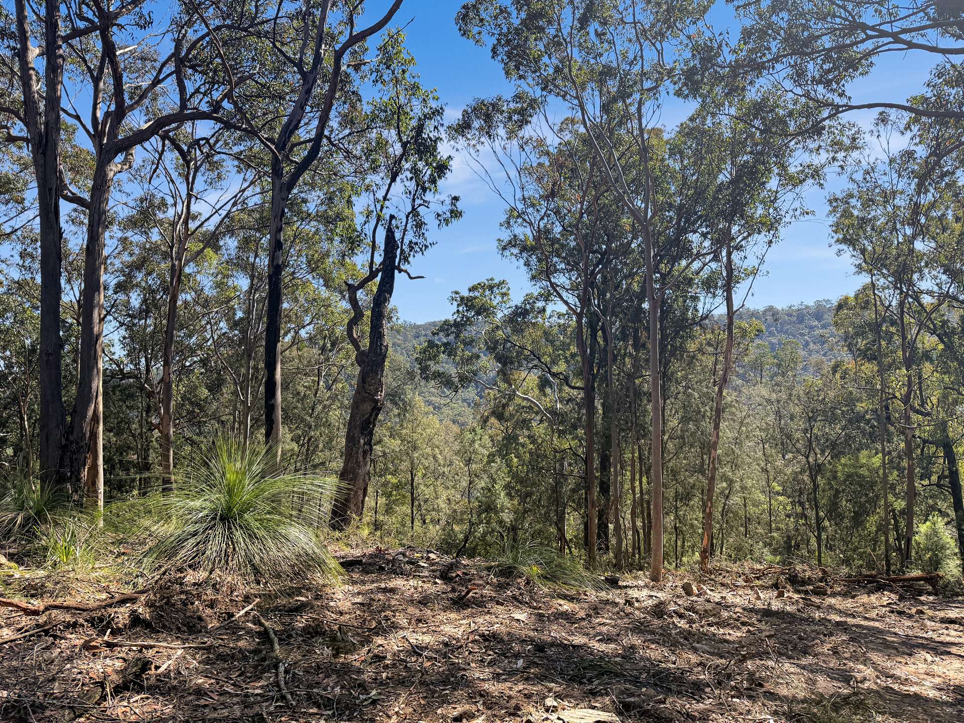 Parcel O Hitcham Park Dairy Arm Road, Laguna For Sale by Farmbuy.com - image 16