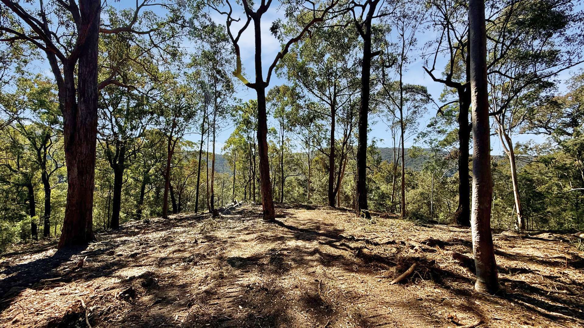 Parcel O Hitcham Park Dairy Arm Road, Laguna For Sale by Farmbuy.com - image 17