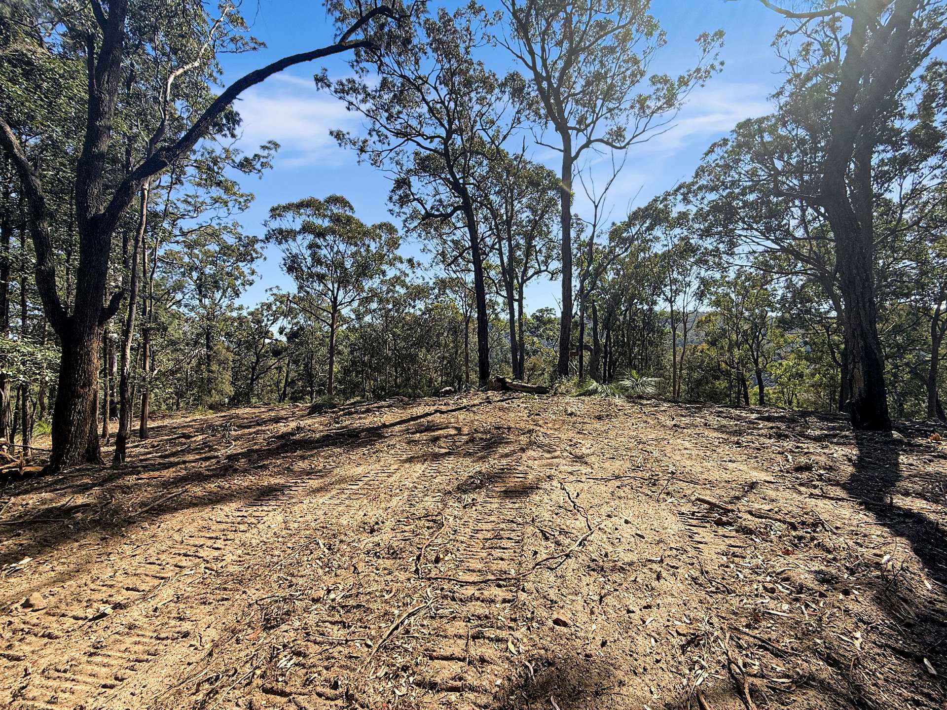 Parcel O Hitcham Park Dairy Arm Road, Laguna For Sale by Farmbuy.com - image 19