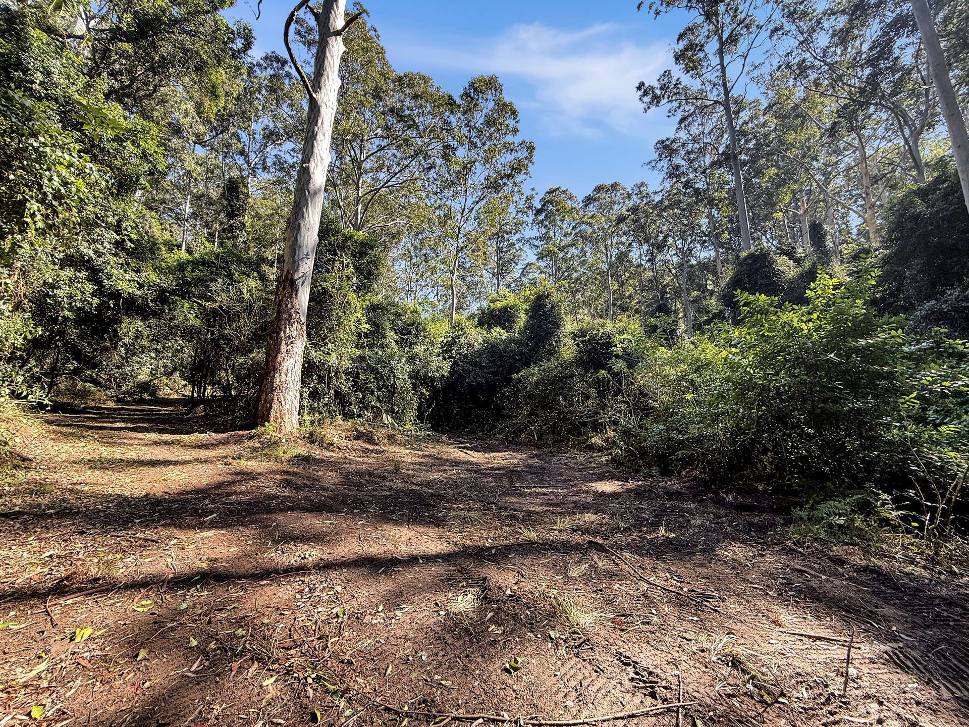 Parcel O Hitcham Park Dairy Arm Road, Laguna For Sale by Farmbuy.com - image 12