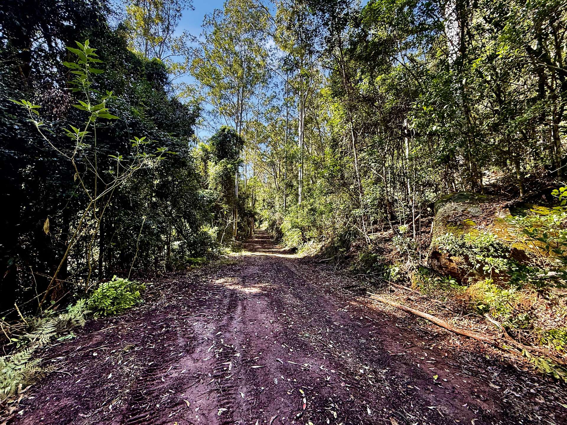 Parcel O Hitcham Park Dairy Arm Road, Laguna For Sale by Farmbuy.com - image 11