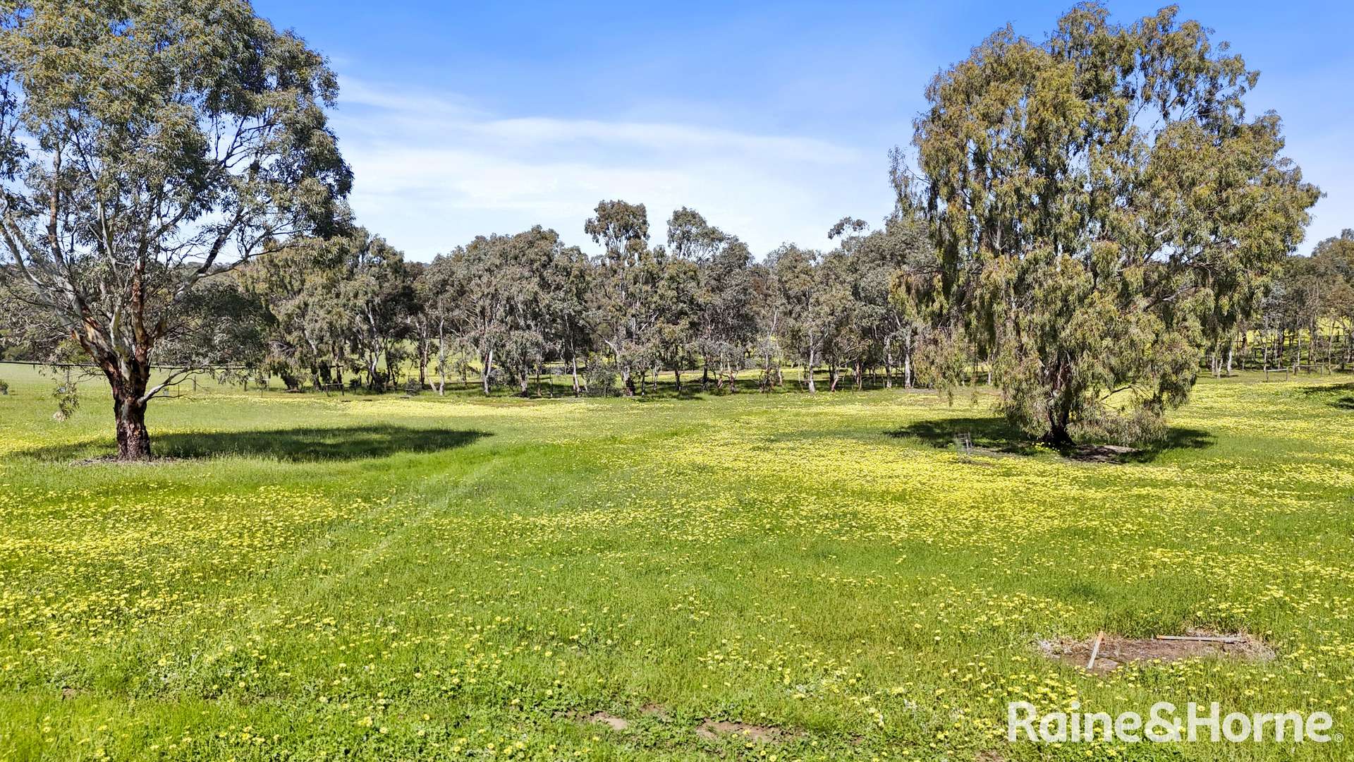 36 Burnside Road, Strathalbyn For Sale by Farmbuy.com - image 29