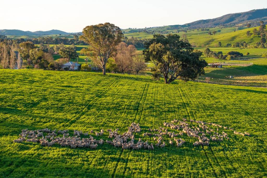 922 Westbrook Road, Oberne Creek NSW 2650