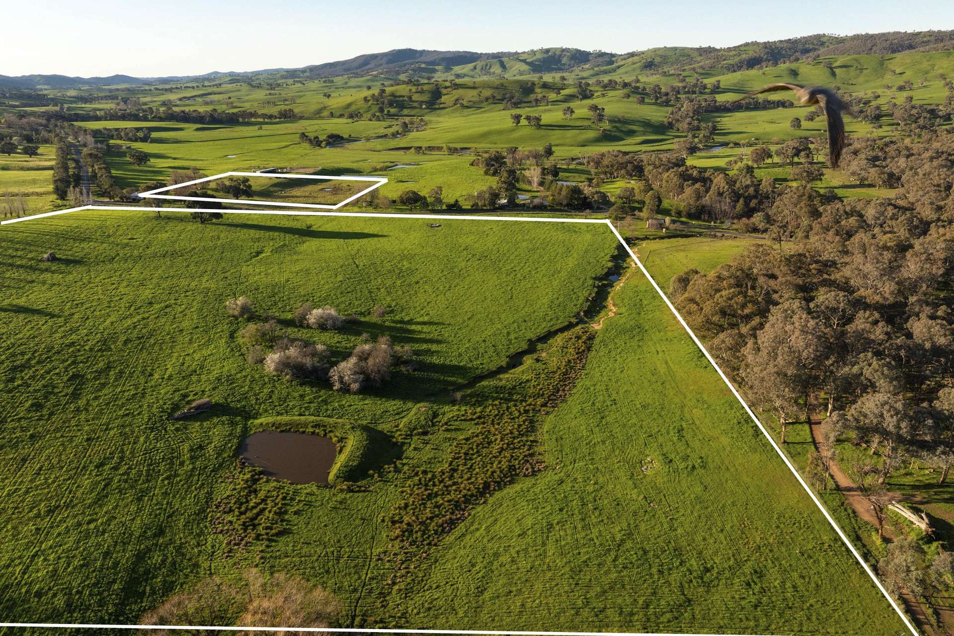 922 Westbrook Road, Oberne Creek Auction by Farmbuy.com - image 16