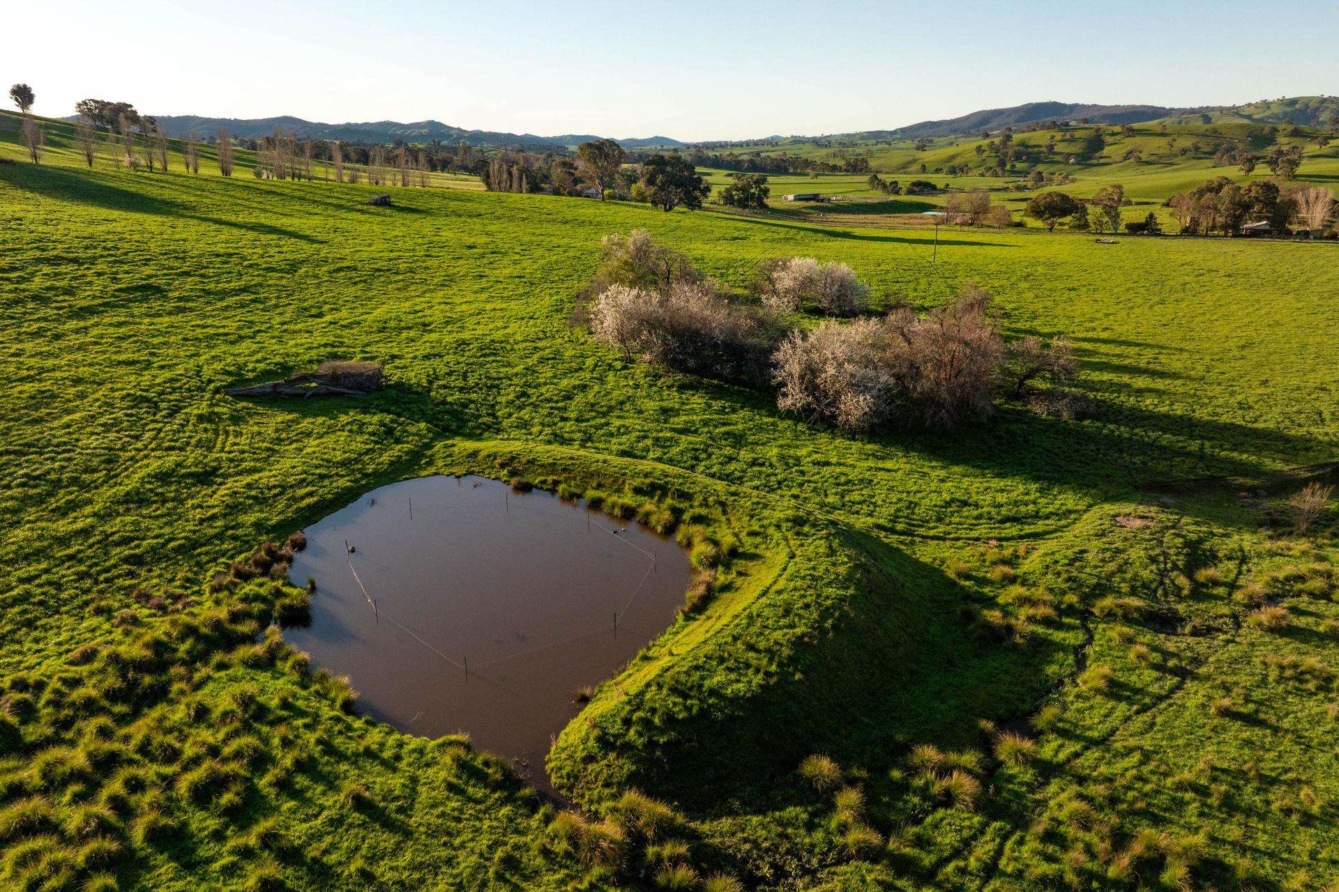 922 Westbrook Road, Oberne Creek Auction by Farmbuy.com - image 7