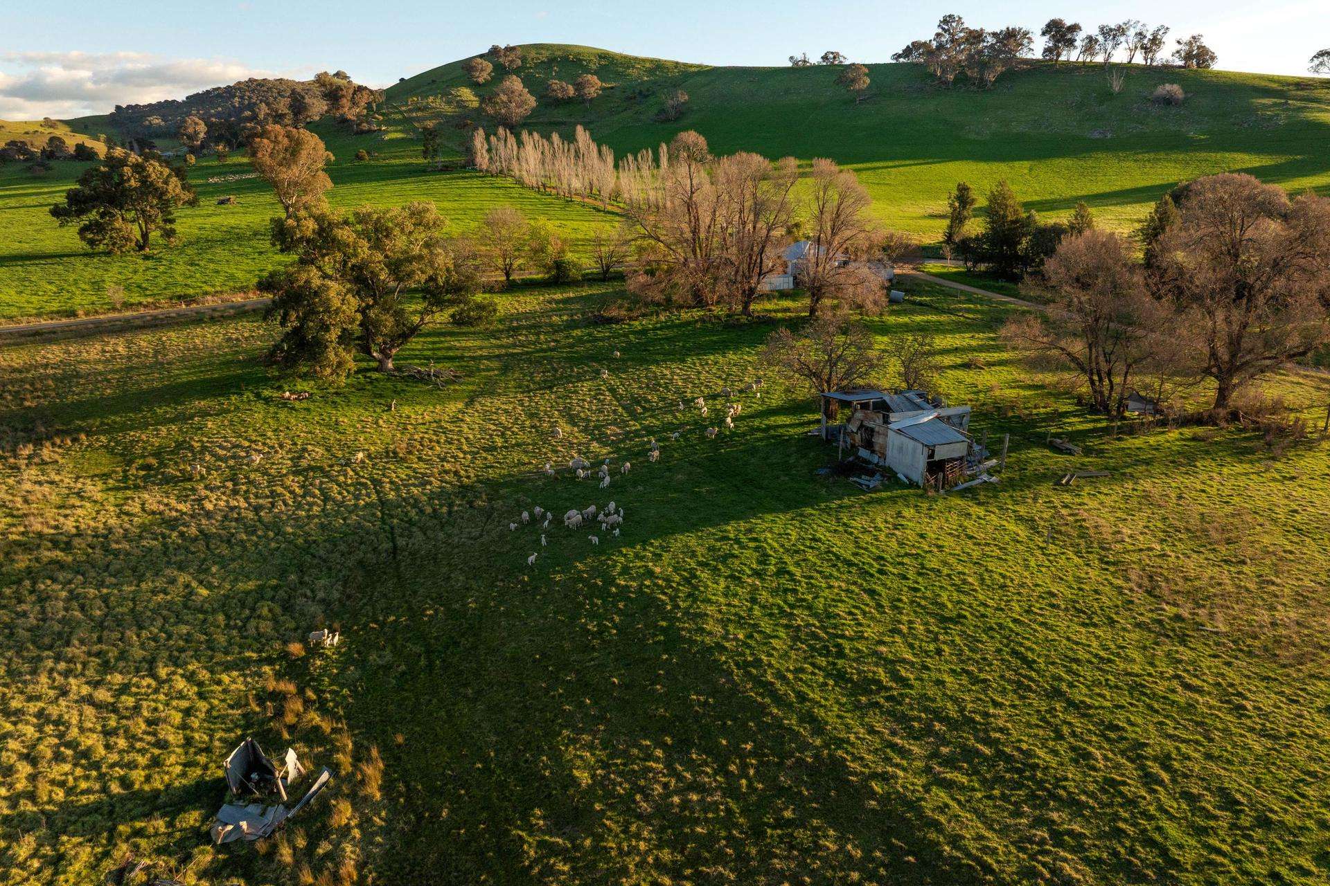 922 Westbrook Road, Oberne Creek Auction by Farmbuy.com - image 4