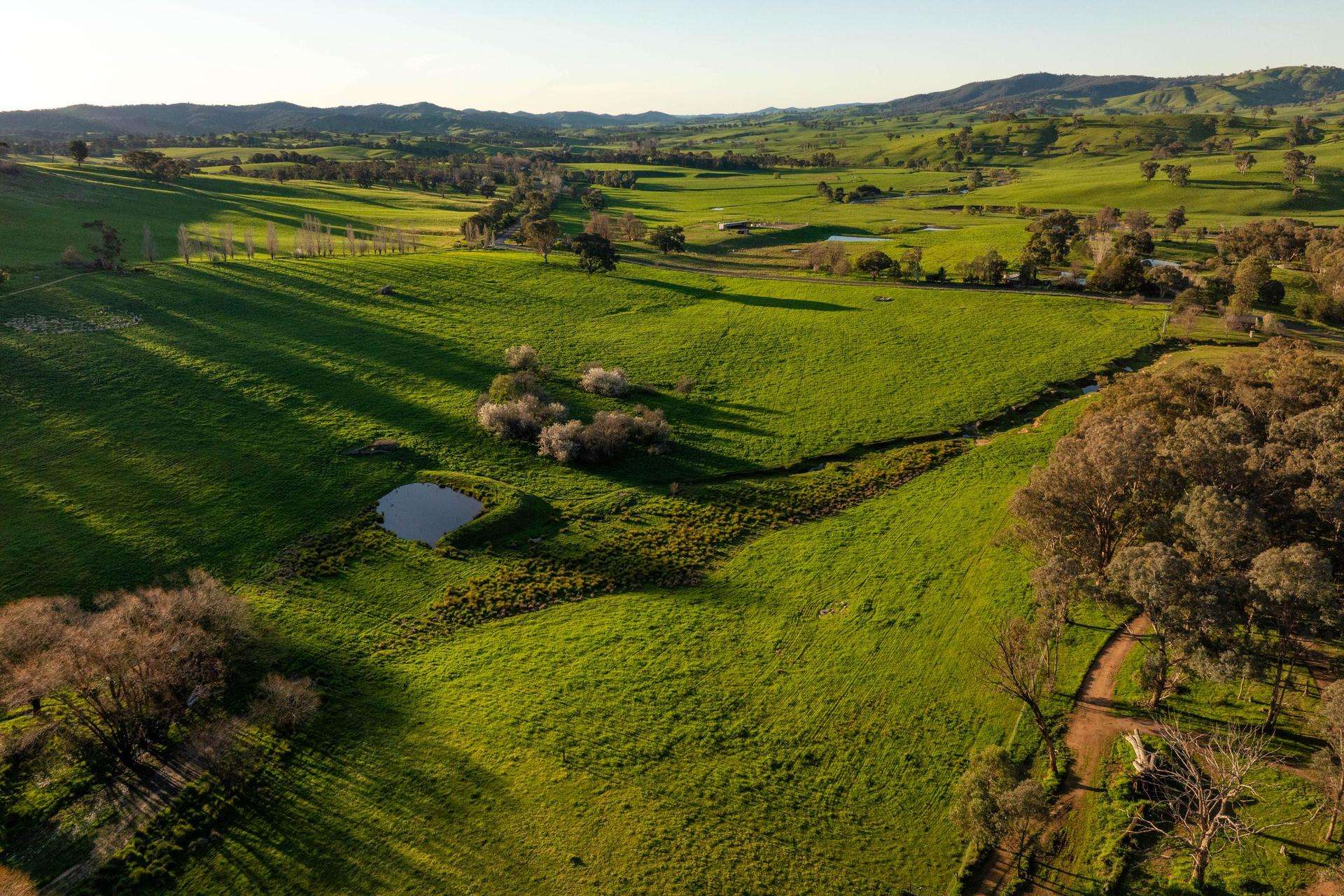 922 Westbrook Road, Oberne Creek Auction by Farmbuy.com - image 14