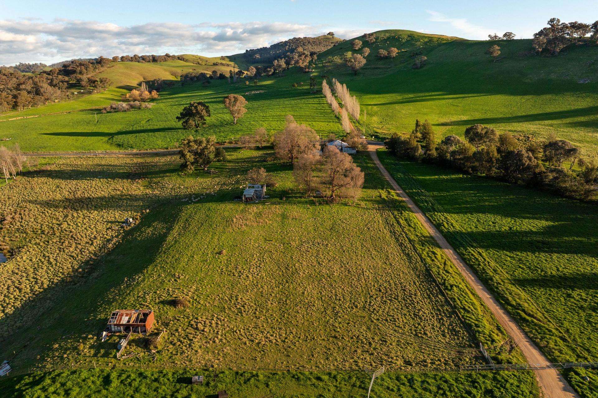922 Westbrook Road, Oberne Creek Auction by Farmbuy.com - image 2