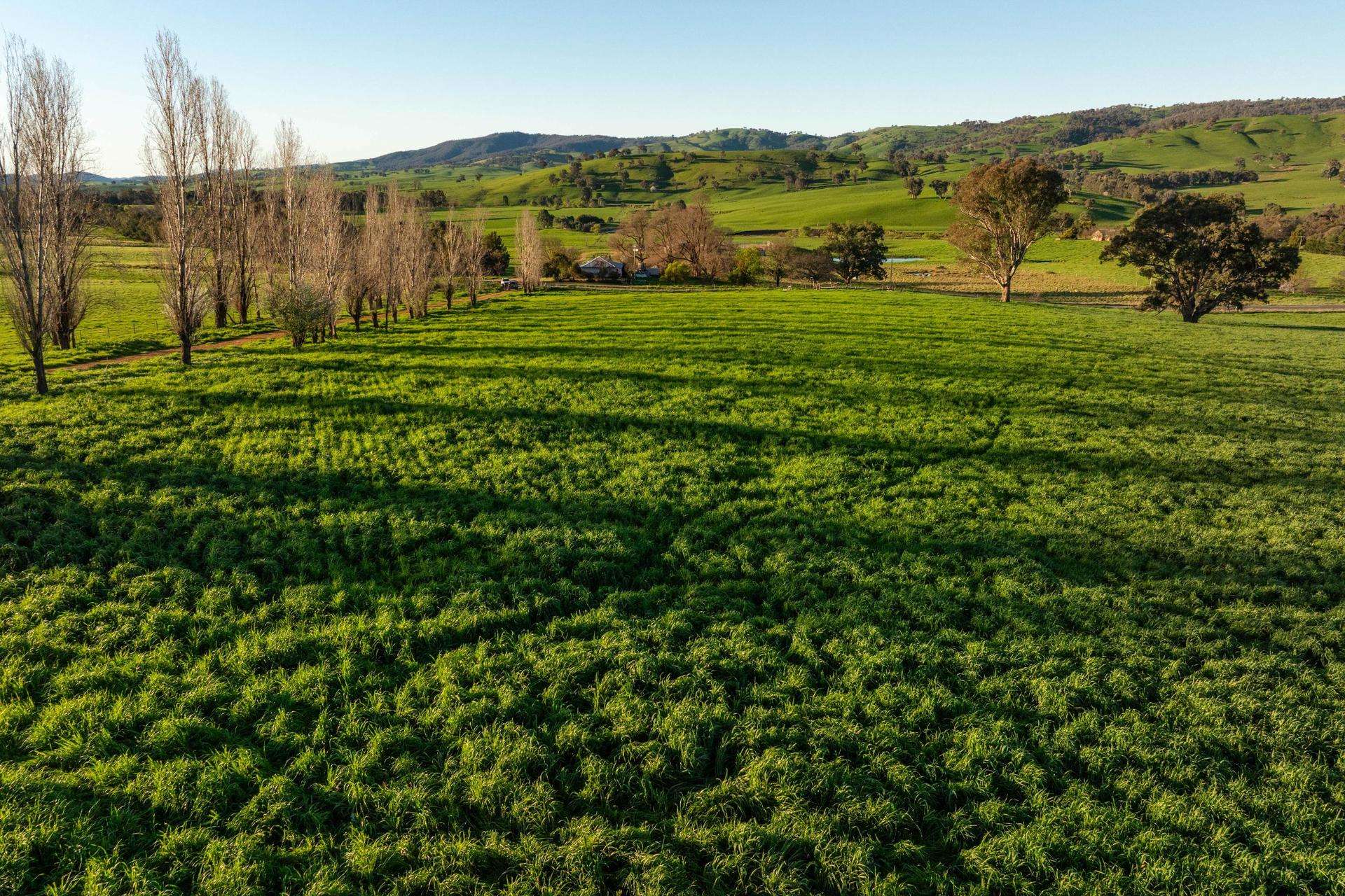 922 Westbrook Road, Oberne Creek Auction by Farmbuy.com - image 5