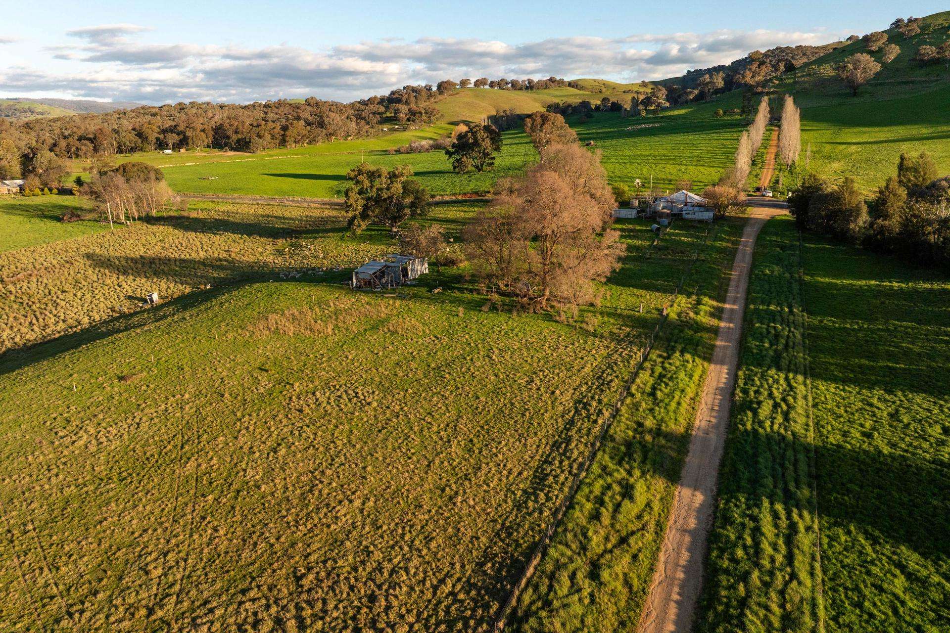 922 Westbrook Road, Oberne Creek Auction by Farmbuy.com - image 3