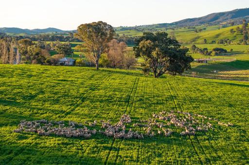 922 Westbrook Road, Oberne Creek NSW 2650