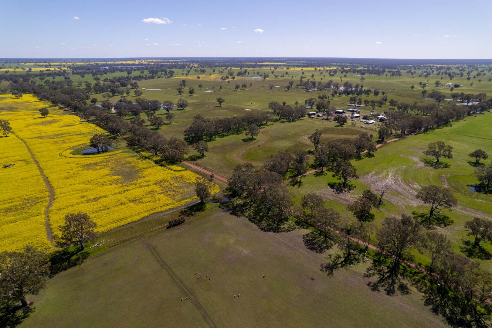 41 J Quigleys Road, Douglas For Sale by Farmbuy.com - image 1