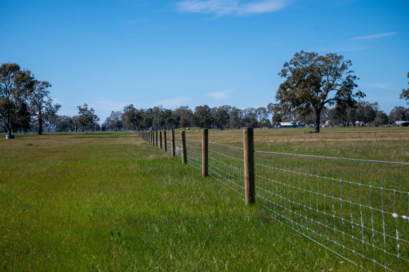 41 J Quigleys Road, Douglas For Sale by Farmbuy.com - image 15