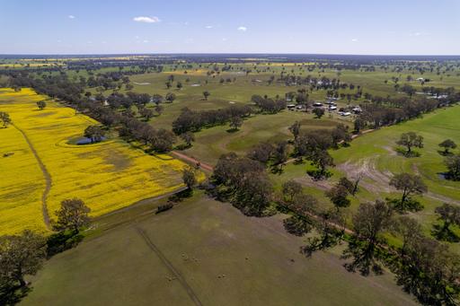 Farm For Sale - VIC - Douglas - 3409 - Generational Sale! 