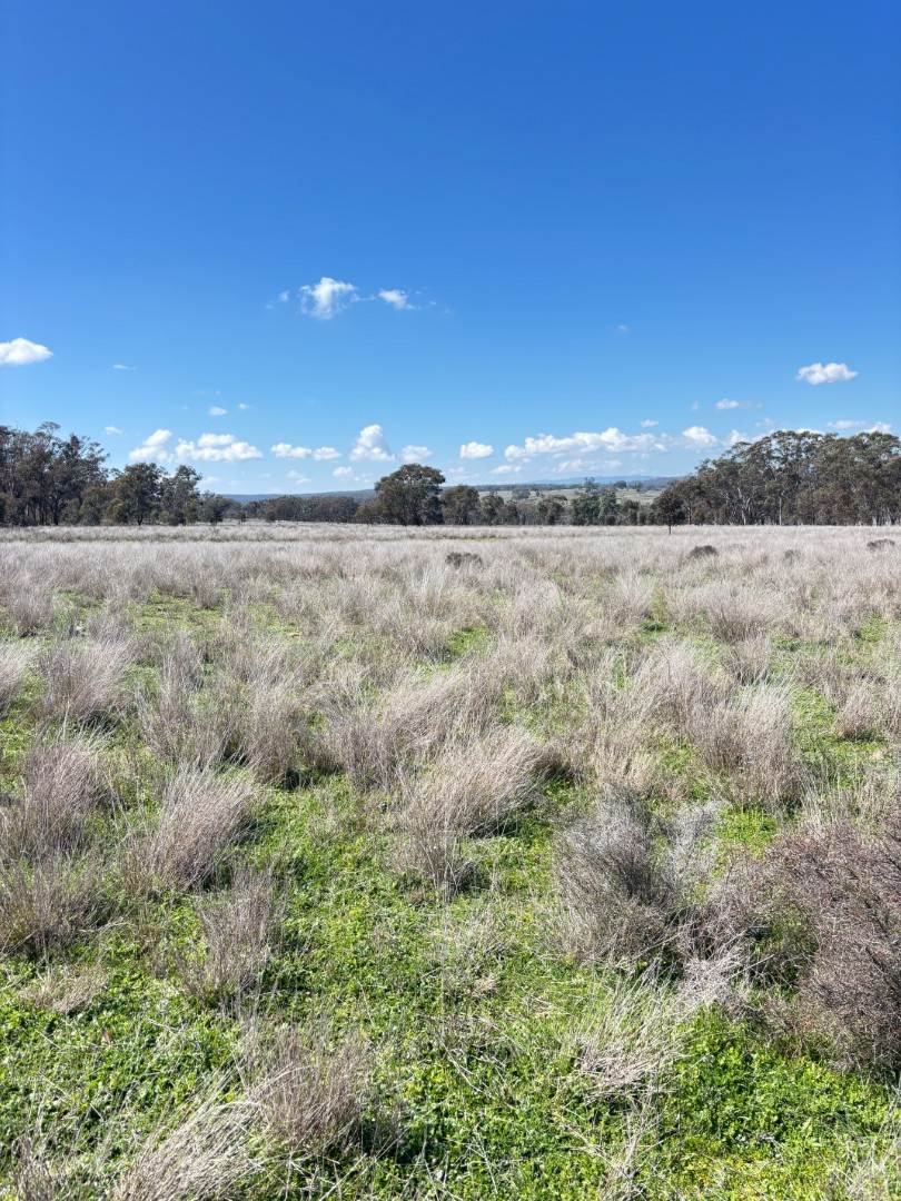 670 Coybil Road, Weetaliba For Sale by Farmbuy.com - image 26