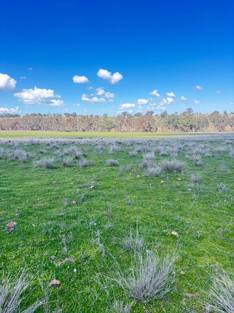 670 Coybil Road, Weetaliba For Sale by Farmbuy.com - image 23