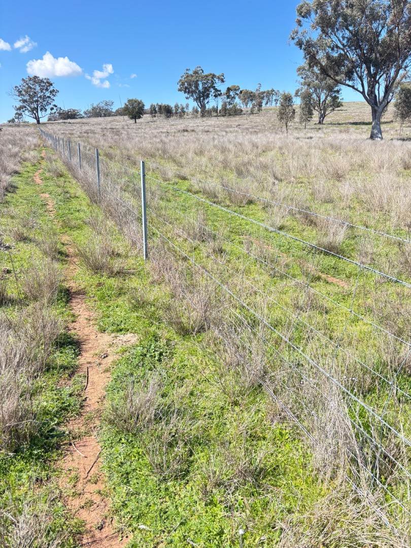 670 Coybil Road, Weetaliba For Sale by Farmbuy.com - image 24