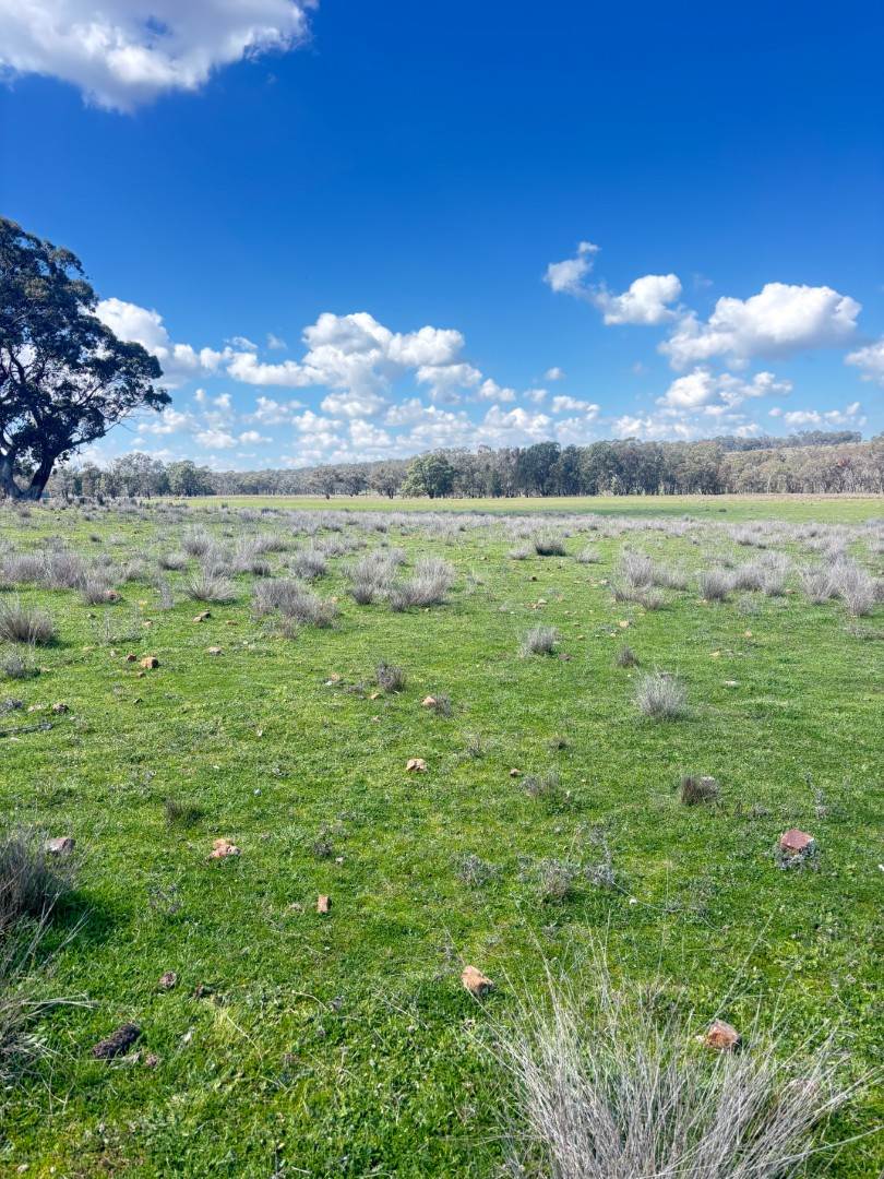 670 Coybil Road, Weetaliba For Sale by Farmbuy.com - image 2