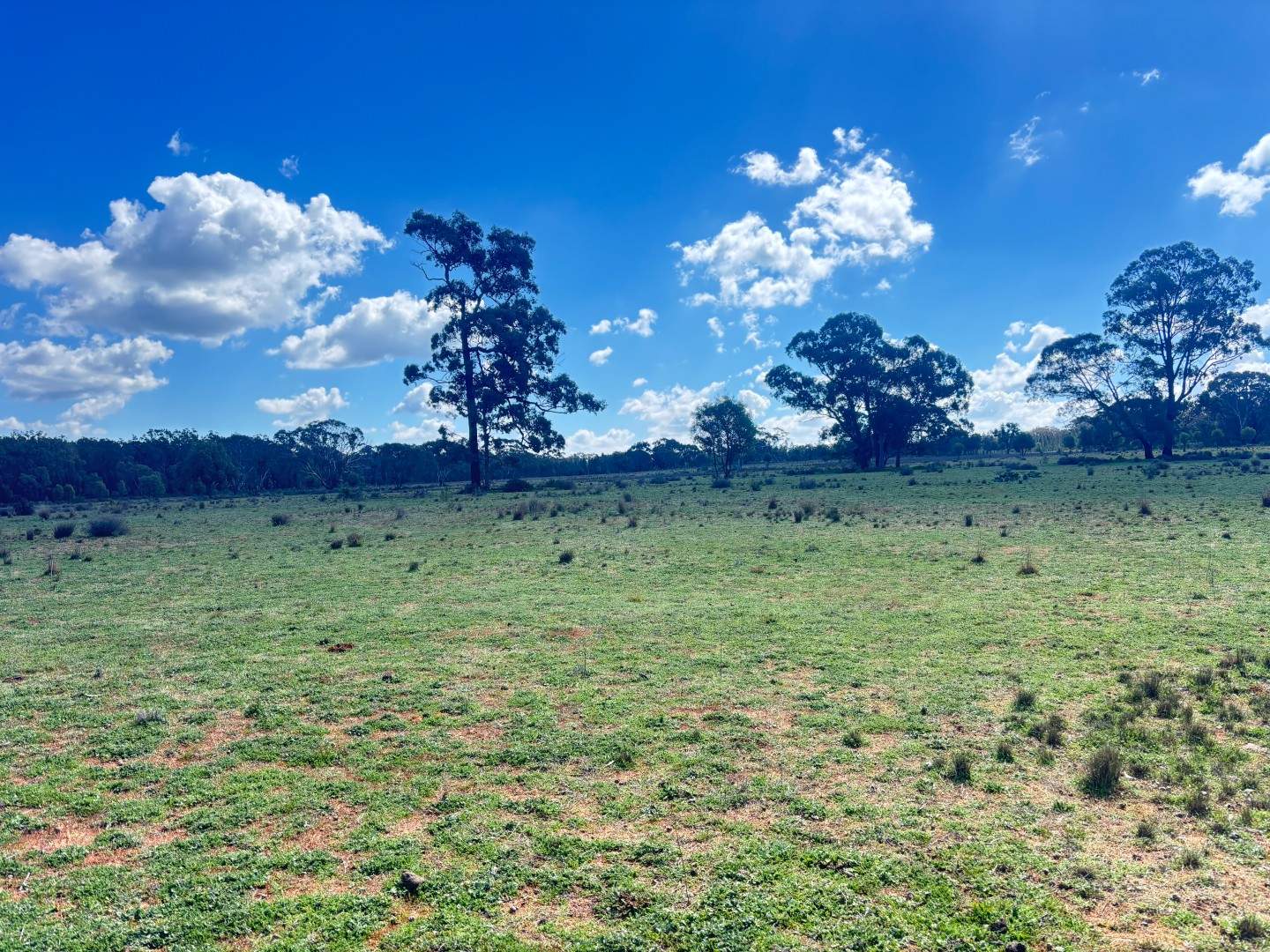 670 Coybil Road, Weetaliba For Sale by Farmbuy.com - image 25