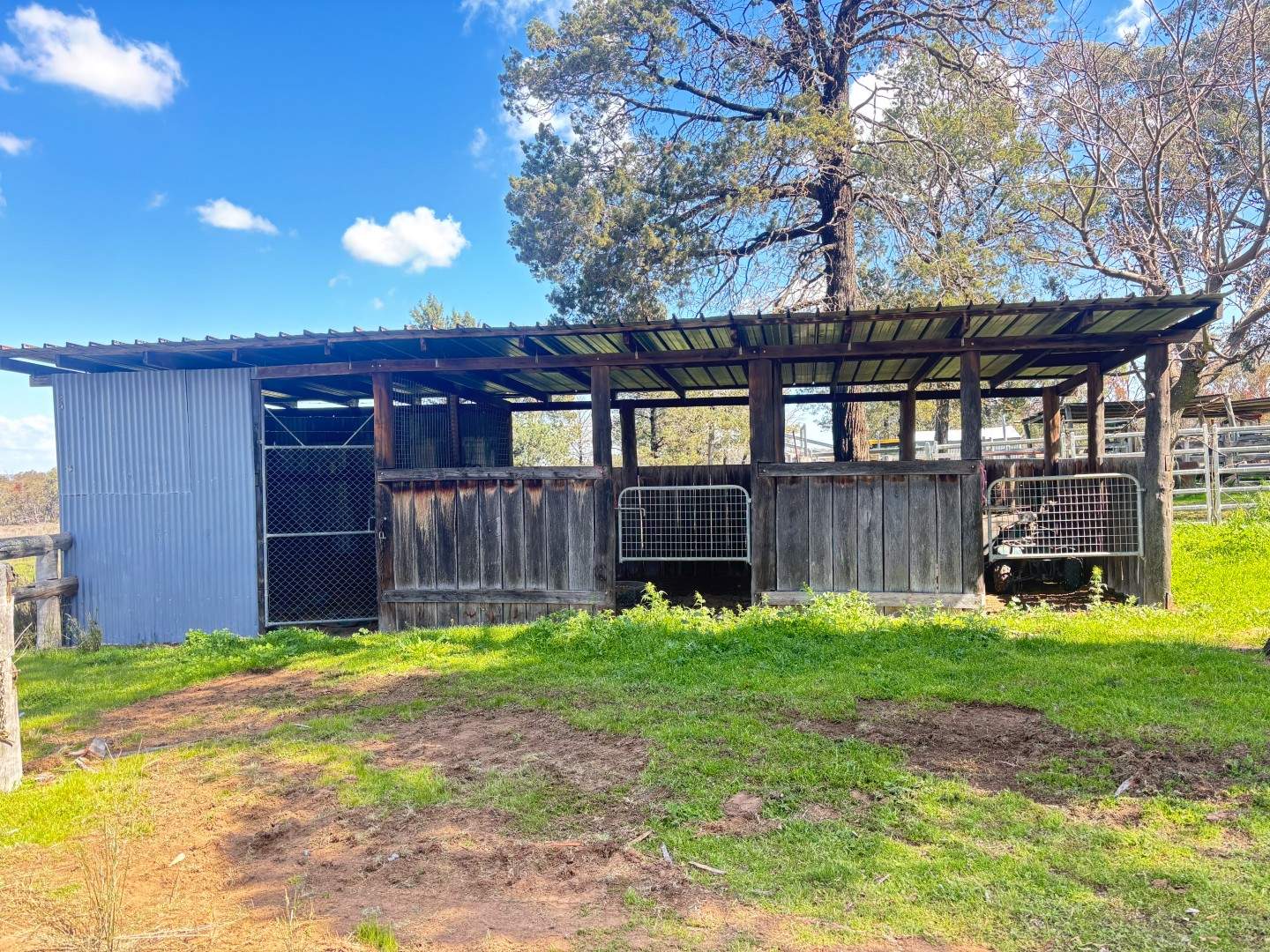 670 Coybil Road, Weetaliba For Sale by Farmbuy.com - image 4