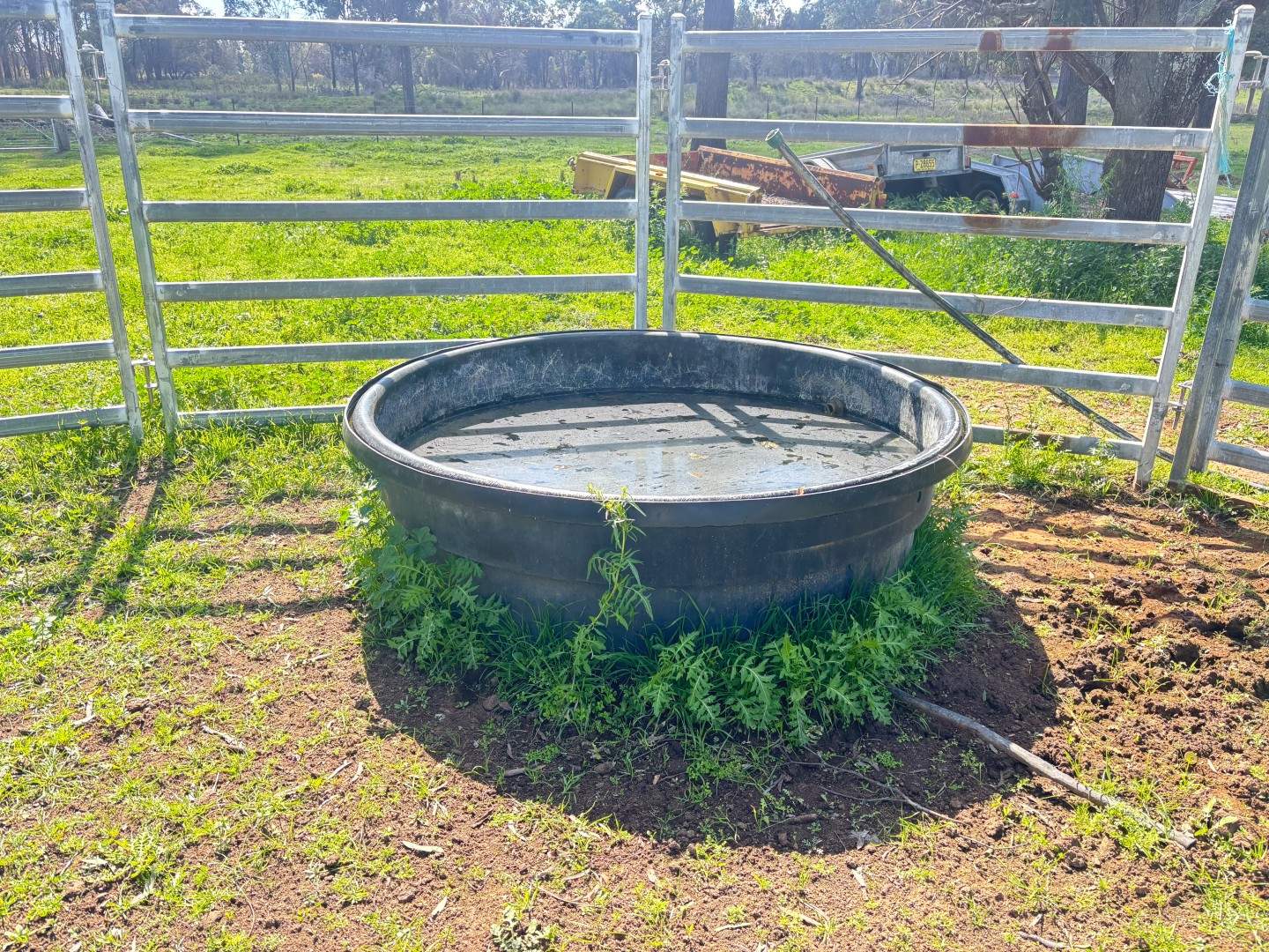 670 Coybil Road, Weetaliba For Sale by Farmbuy.com - image 9