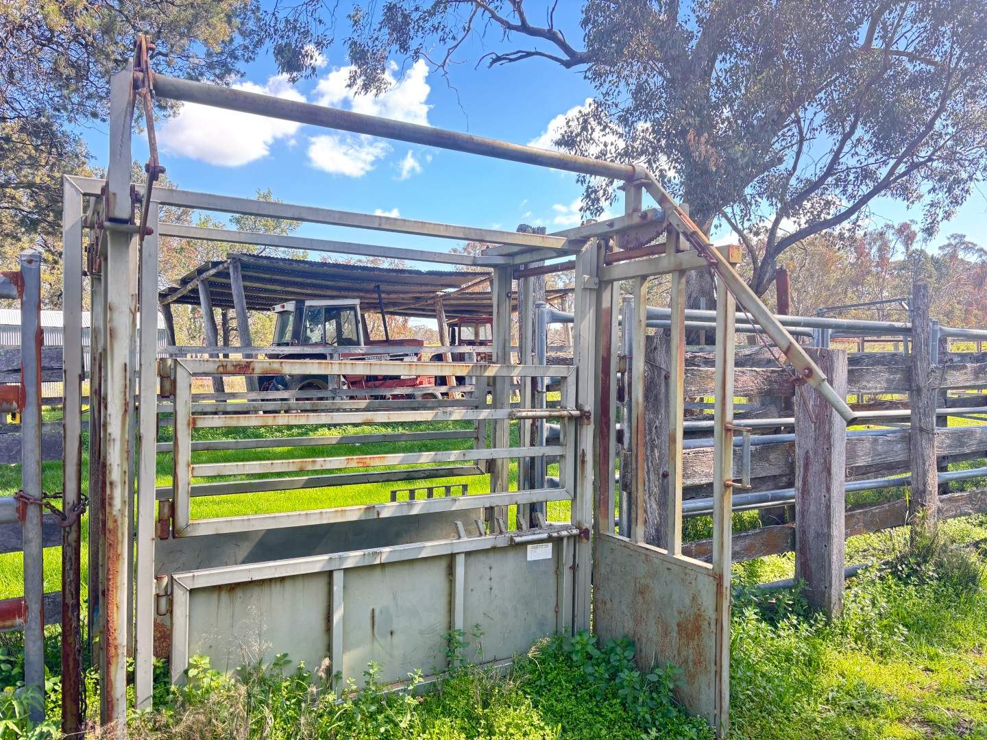 670 Coybil Road, Weetaliba For Sale by Farmbuy.com - image 7