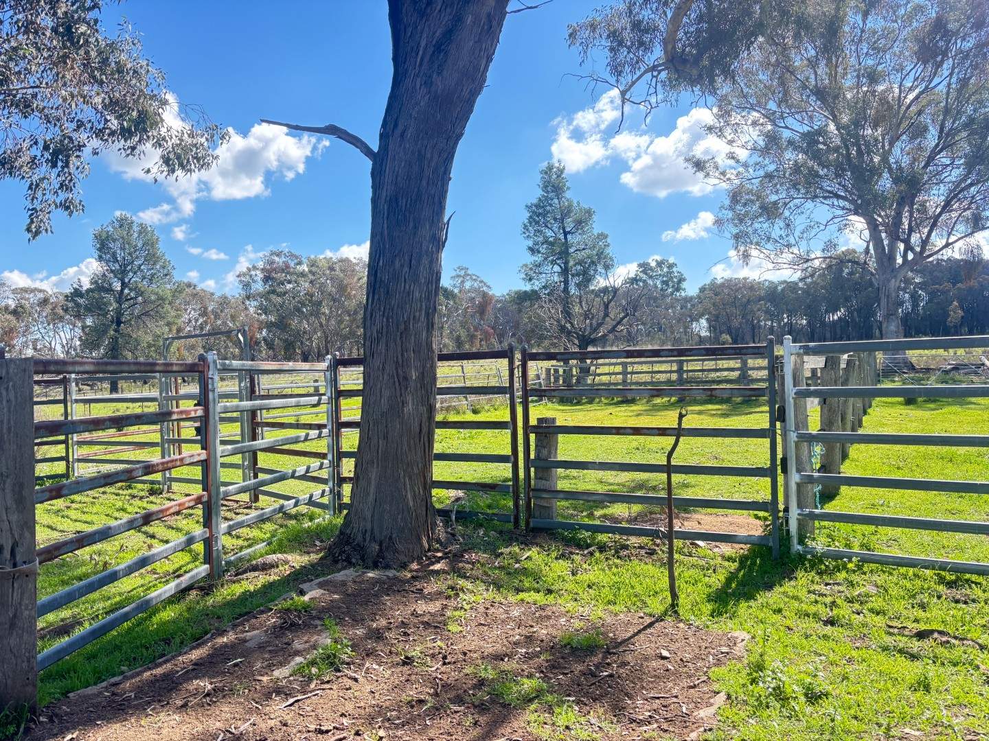 670 Coybil Road, Weetaliba For Sale by Farmbuy.com - image 8