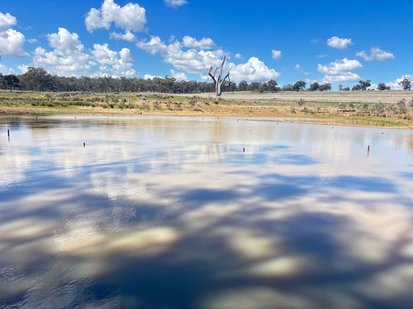 670 Coybil Road, Weetaliba For Sale by Farmbuy.com - image 28